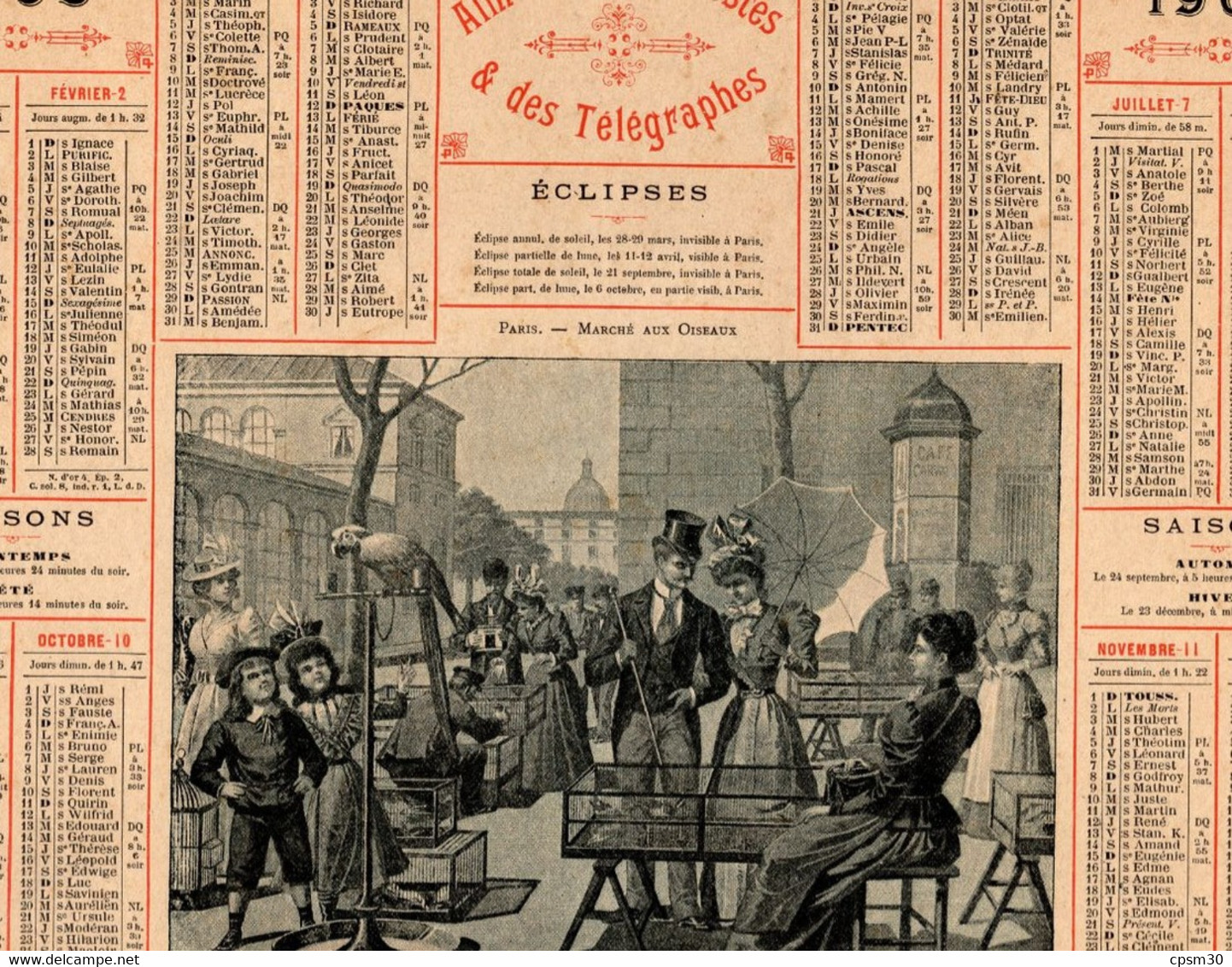 CALENDRIER GF 1903 - Paris Marché Aux Oiseaux, Imprimeur Oberthur Rennes - Formato Grande : 1901-20