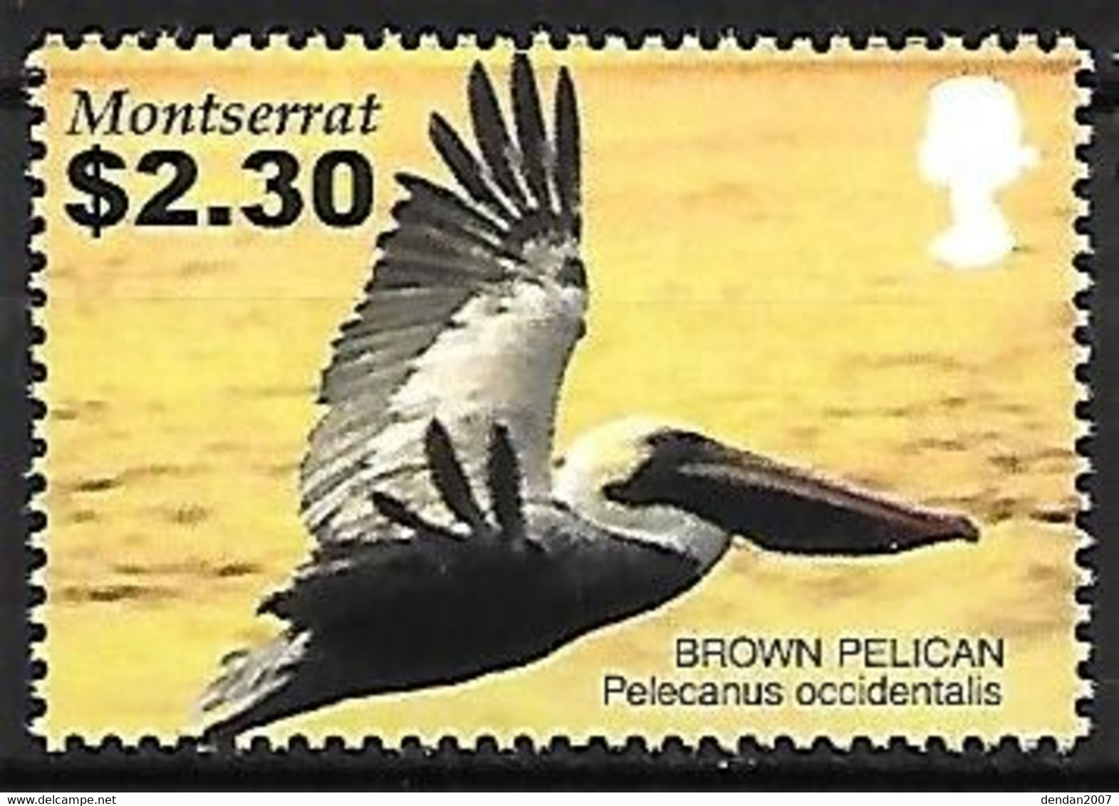 Montserrat - MNH ** 2005 :  Brown Pelican  -  Pelecanus Occidentalis - Pelícanos