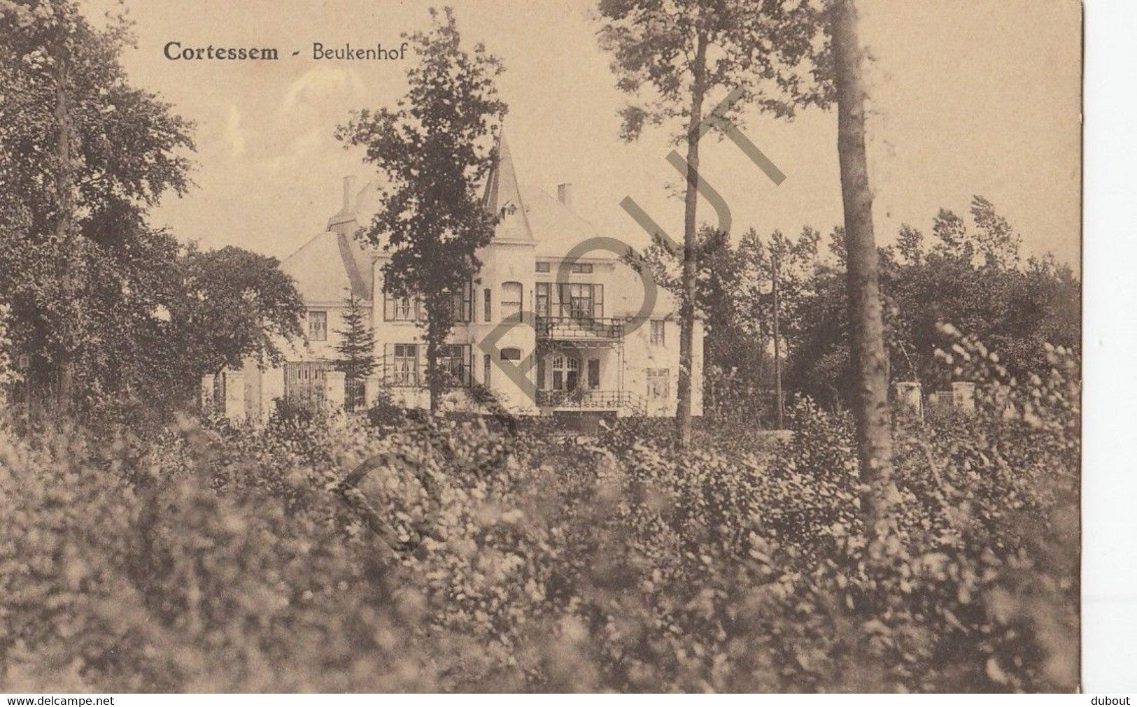 KORTESSEM - Beukenhof  (C595) - Kortessem