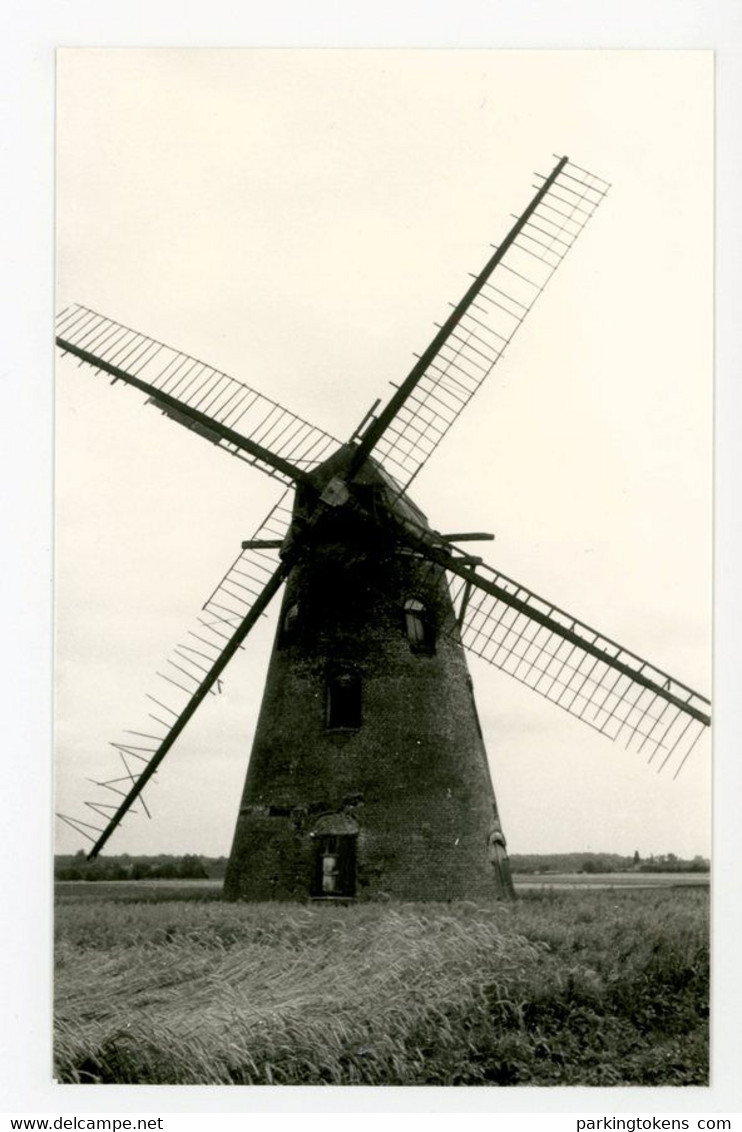 D824 Ruiselede - Foto In De Maat Van Een Kleinformaat Kaart - Molen - Moulin - Mill - Mühle - - Ruiselede