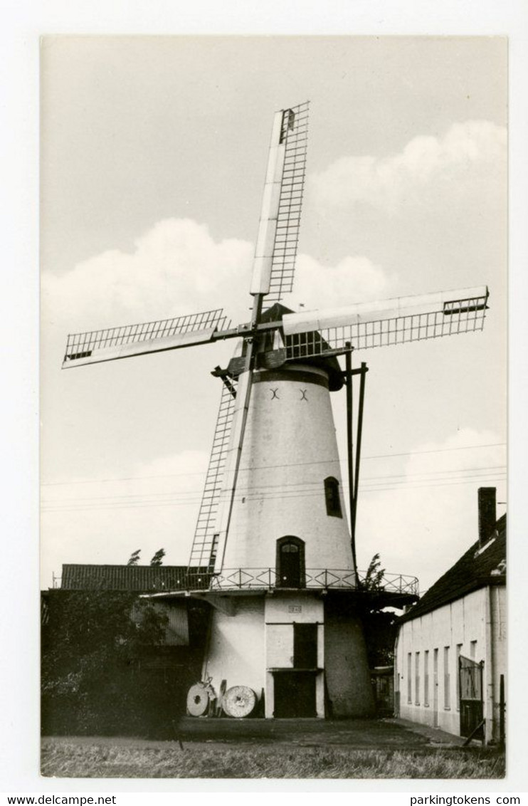 D825 - Ruiselede Knokmolen - Kleinformaat Kaart - Molen - Moulin - Mill - Mühle - - Ruiselede