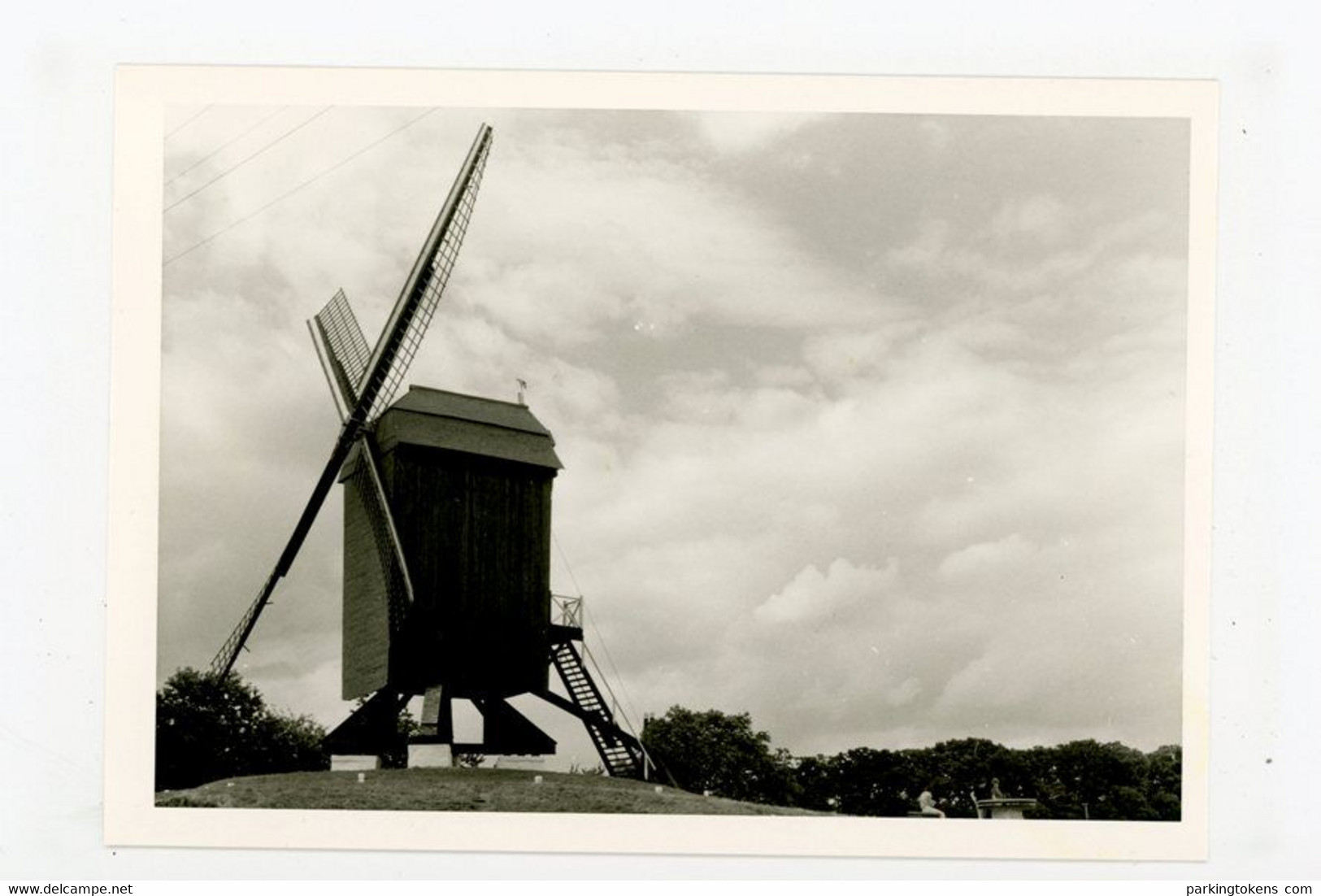 D830 - Herzele - Arr Aalst - Foto Ong 8x12cm - Molen - Moulin - Mill - Mühle - - Herzele