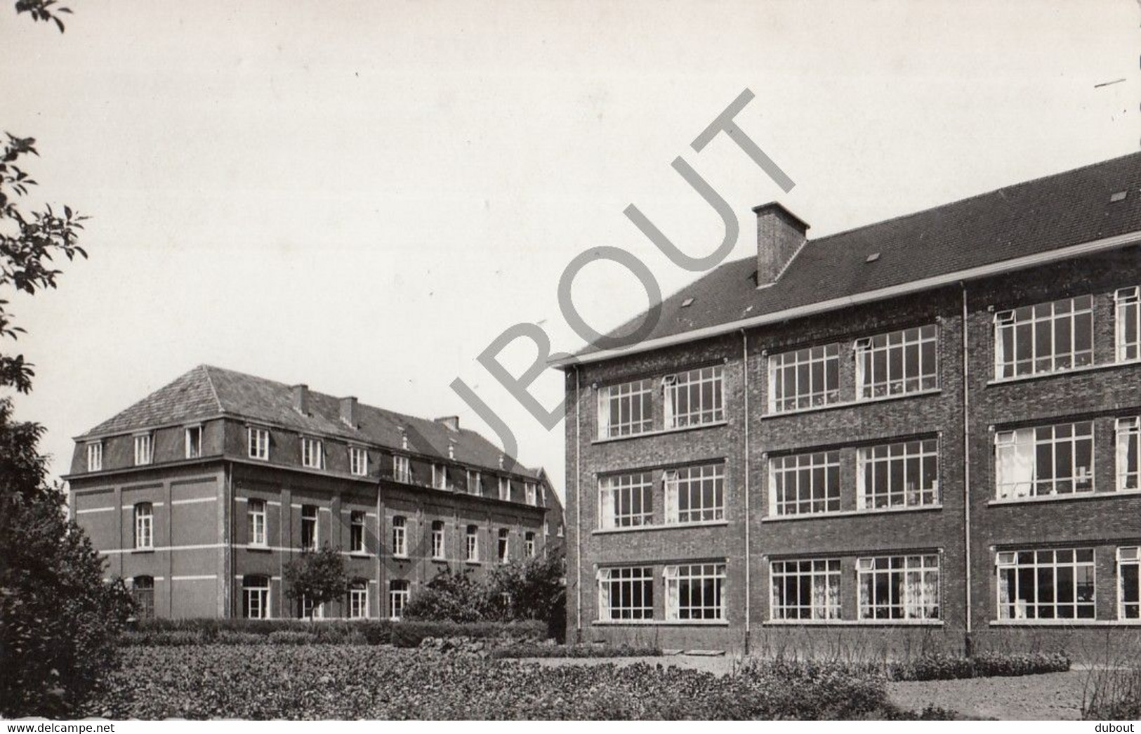 DIEPENBEEK - Pensionnat Des Religieuses Ursulines - Wijkstraat  (C552) - Diepenbeek