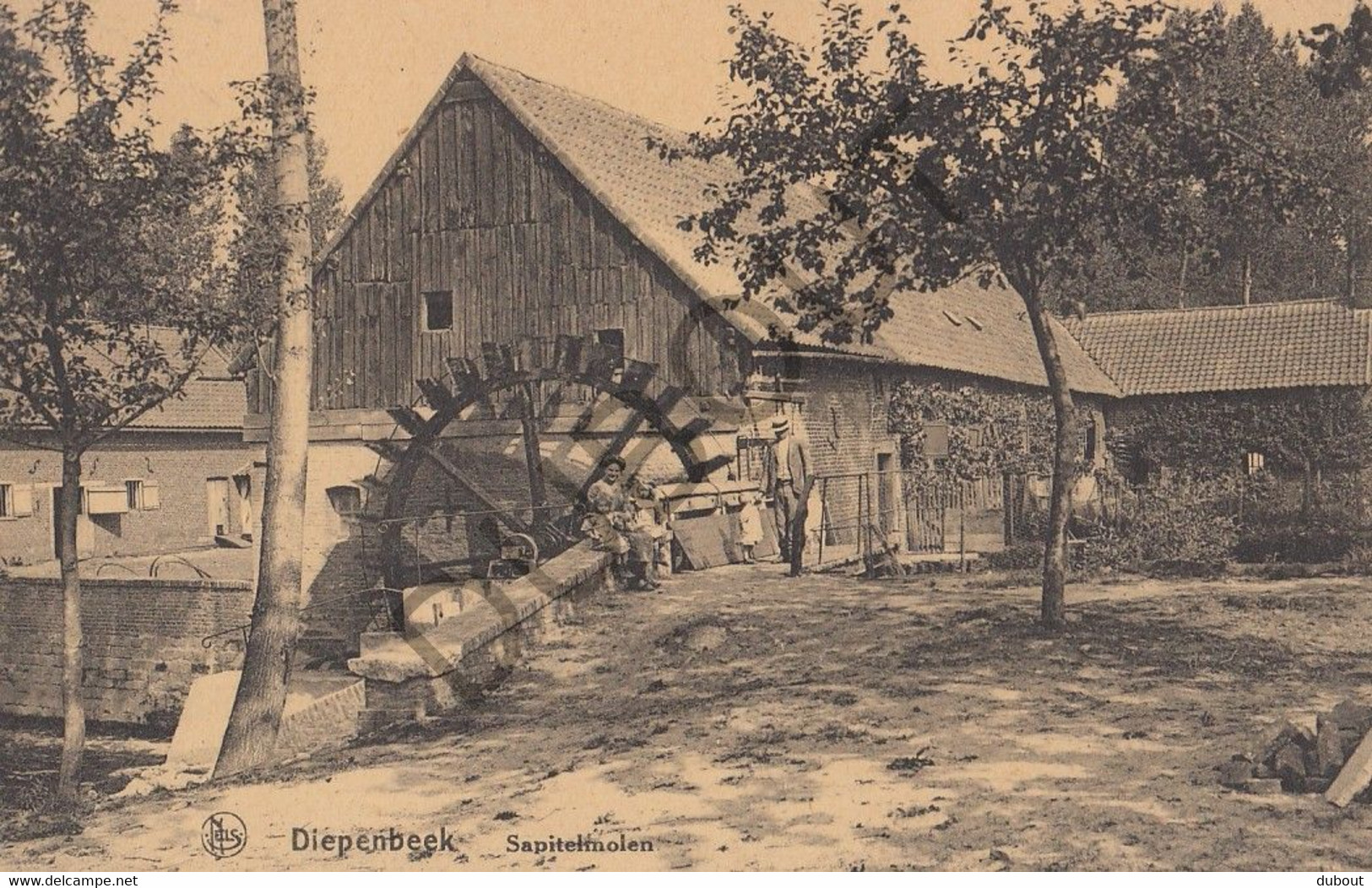 DIEPENBEEK - Sapitelmolen   (C572) - Diepenbeek