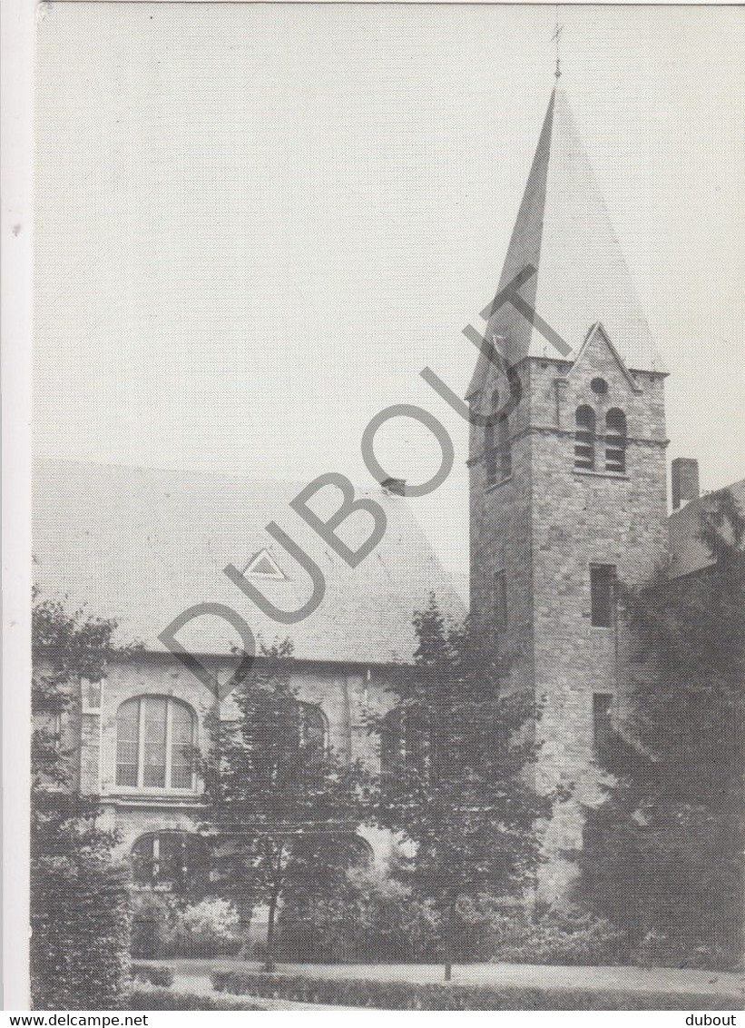 DIEPENBEEK -Kerk H. Hart - Royerheide  (C499) - Diepenbeek