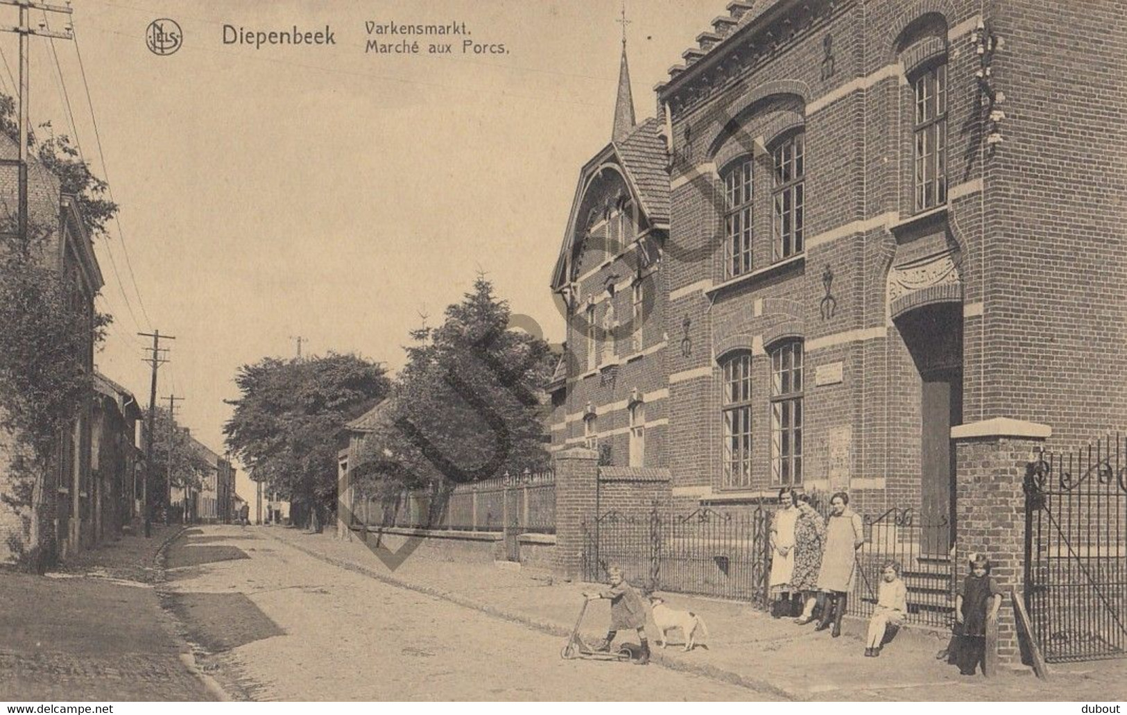 DIEPENBEEK - Varkensmarkt (C594) - Diepenbeek