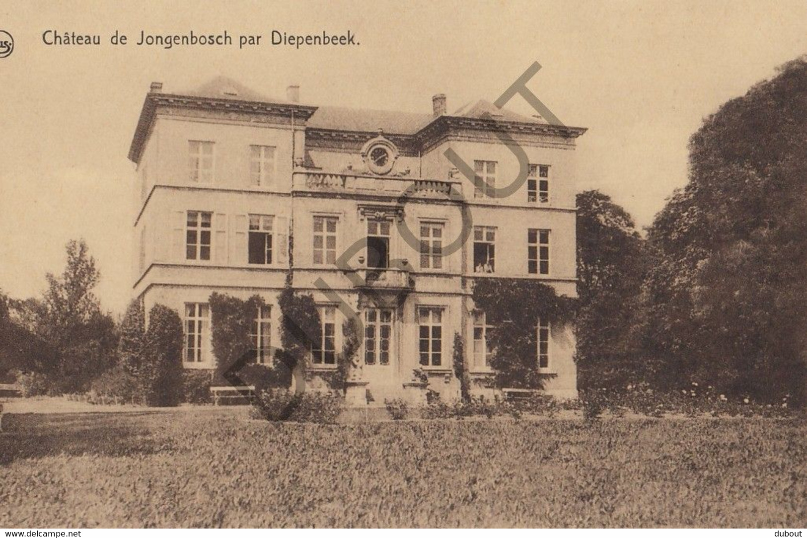 DIEPENBEEK - Château De Jongenbosch (C579) - Diepenbeek