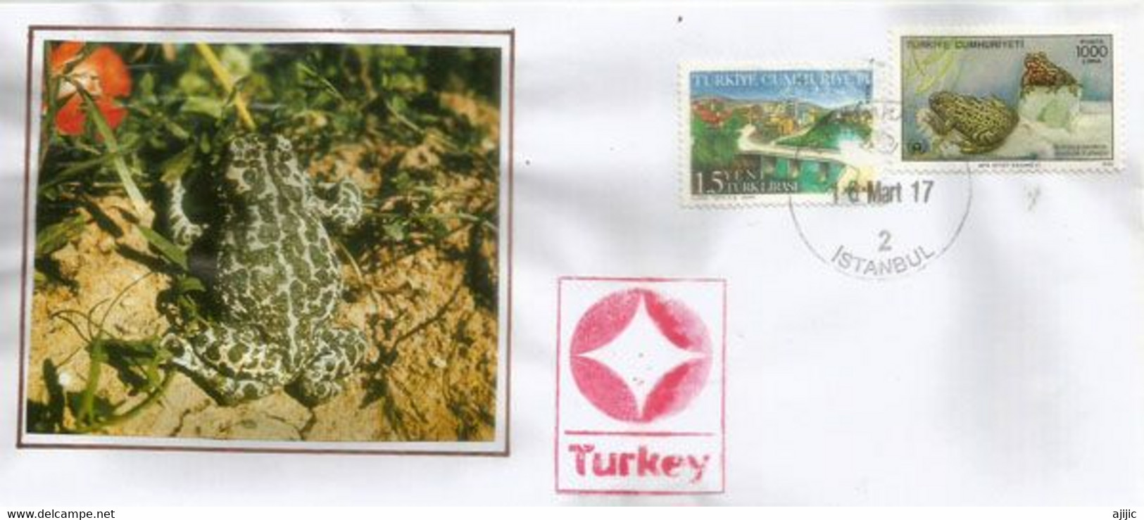 Crapaud & Grenouille De Turquie.  Sur Lettre D'Istanbul - Cartas & Documentos