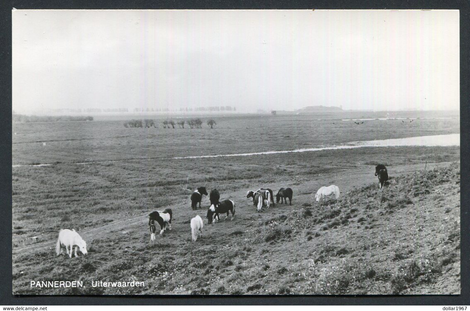 Pannerden , Uiterwaarde. / Zevenaar - NOT Used   ,2 Scans For Condition. (Originalscan !! ) - Zevenaar