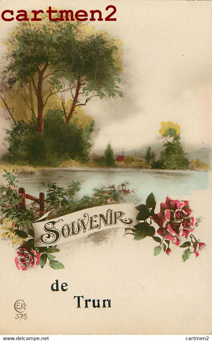 SOUVENIR DE TRUN CARTE FANTAISIE SOUVENIR 61 ORNE - Trun