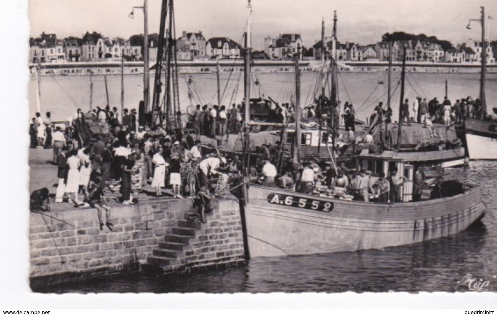 Belle Cpsm PF Dentelée Arrivée Des Sardiniers à Port Maria à Quiberon. - Visvangst