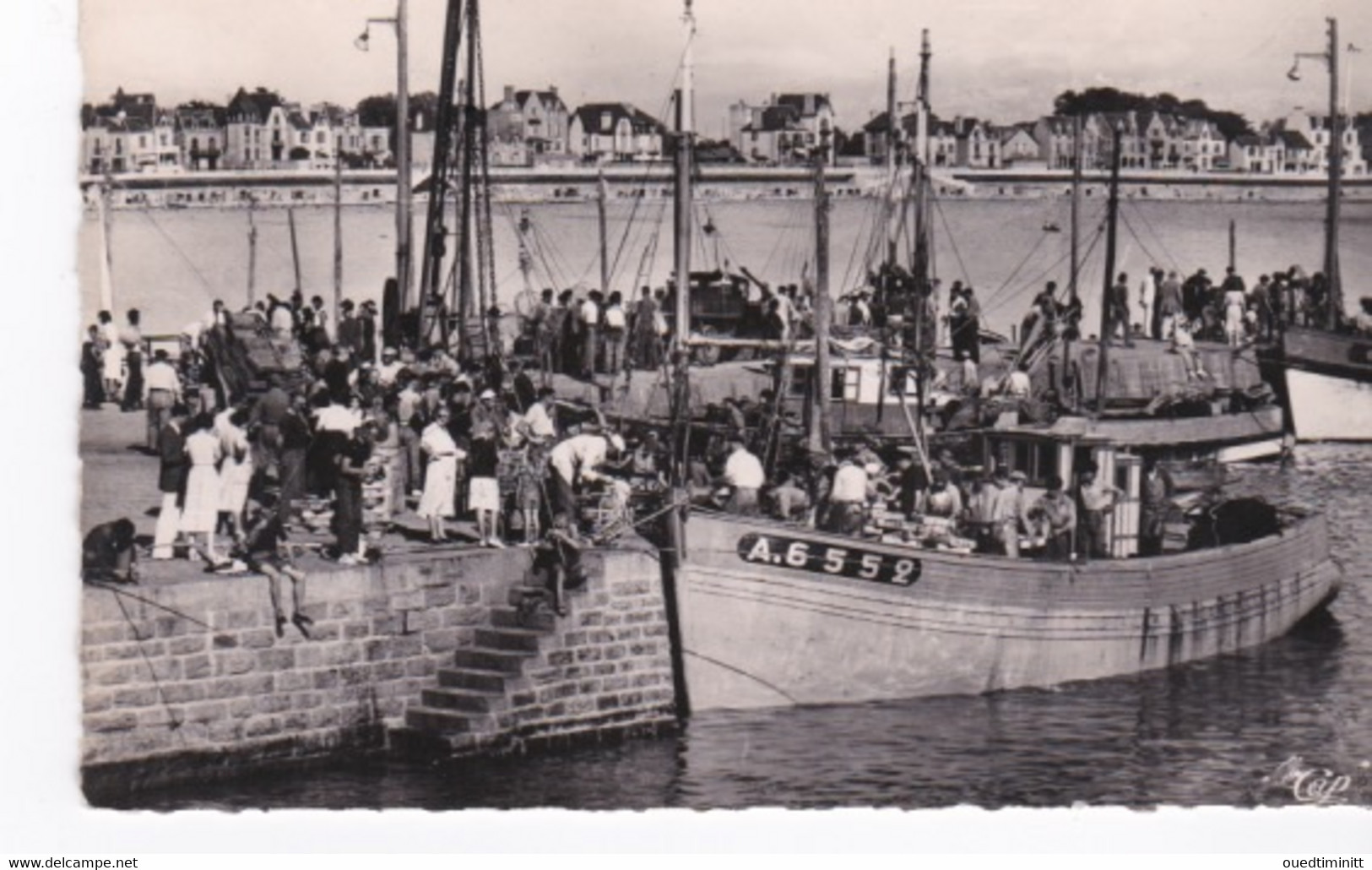 Belle Cpsm PF Dentelée Arrivée Des Sardiniers à Port Maria à Quiberon. - Fischerei