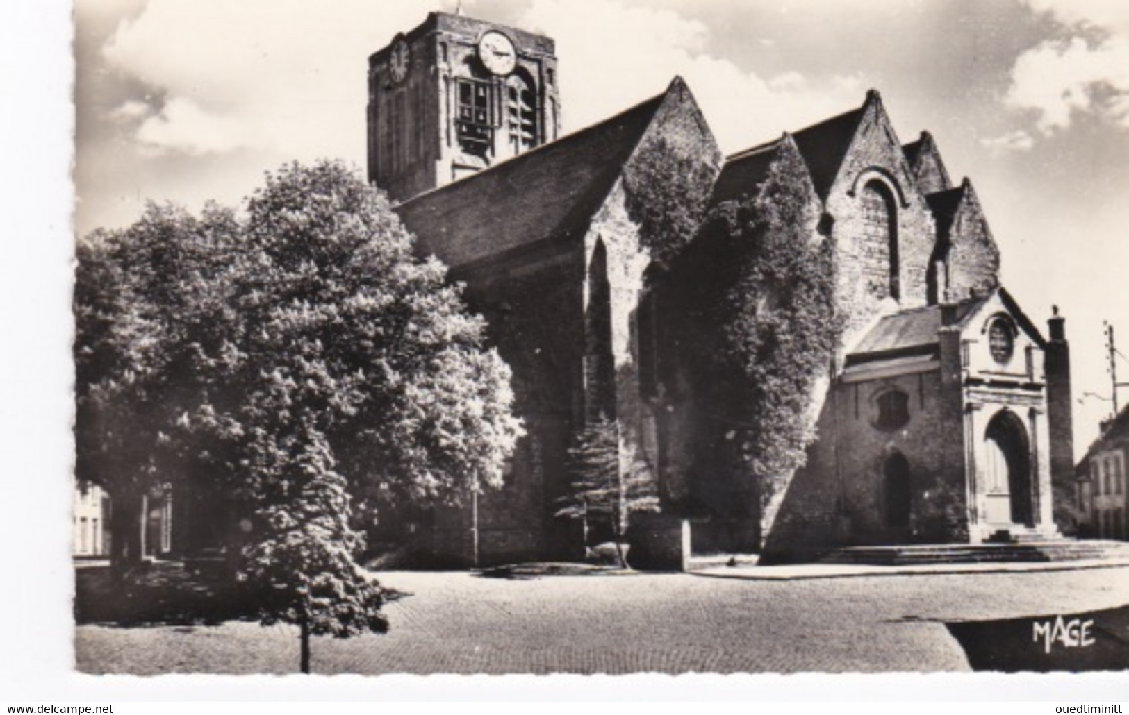 Cpsm PF Dentelée L'église De Mont-Cassel - Cassel