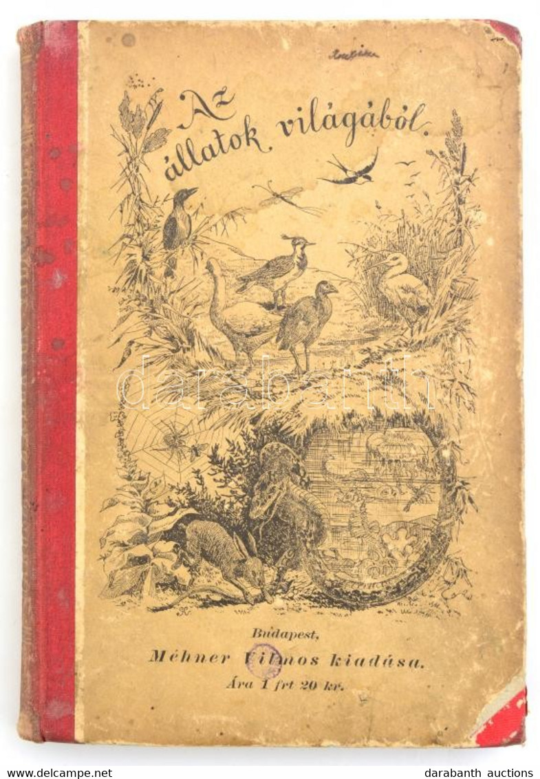 Hanusz István: Az állatok Világából. Bp., é.n., Méhner Vilmos. Kiadói Félvászon Kötésben, Kissé Kopottas állapotban. - Unclassified