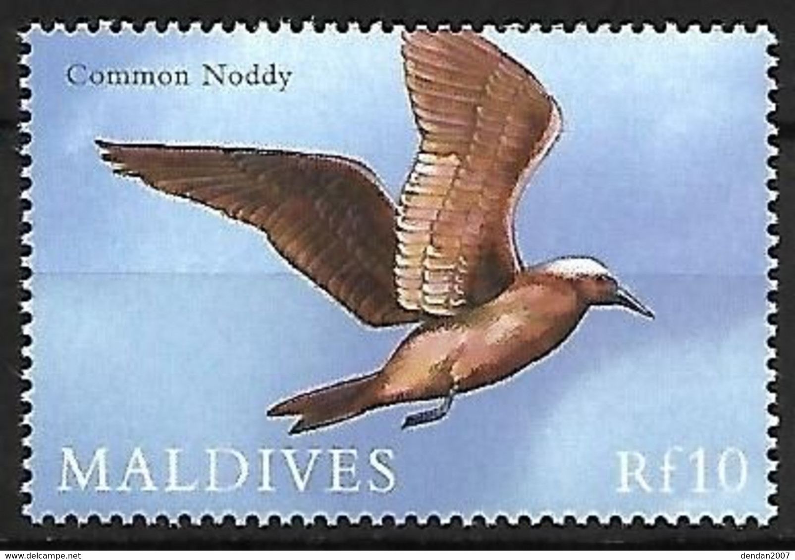 Maldives - MNH ** 2000 :  Brown Noddy  -  Anous Stolidus - Gabbiani