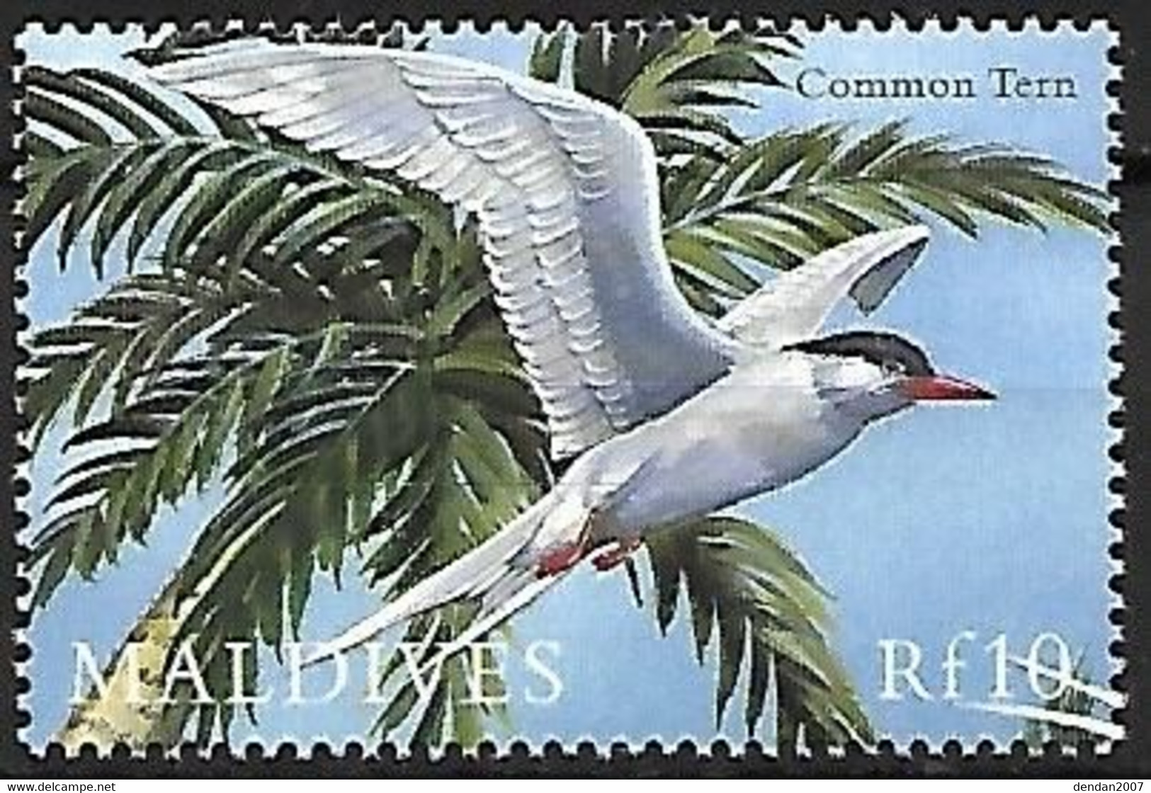 Maldives - MNH ** 2000 :   Common Tern  -  Sterna Hirundo - Möwen