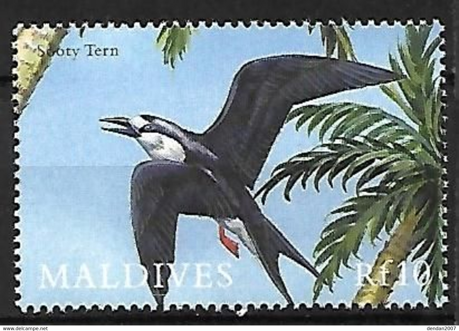 Maldives - MNH ** 2000 :   Sooty Tern  -  Onychoprion Fuscatus - Seagulls