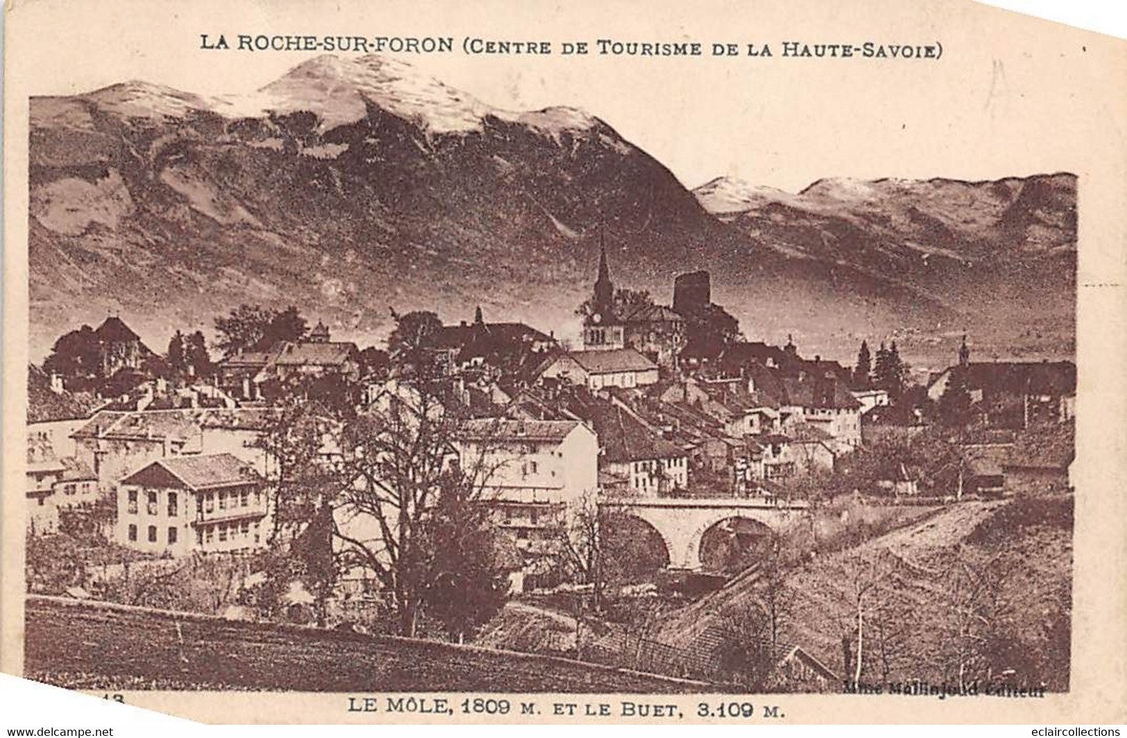 La Roche Sur Foron           74            Vue Générale  Le Môle Et Le Buet         N° 13     (voir Scan) - La Roche-sur-Foron