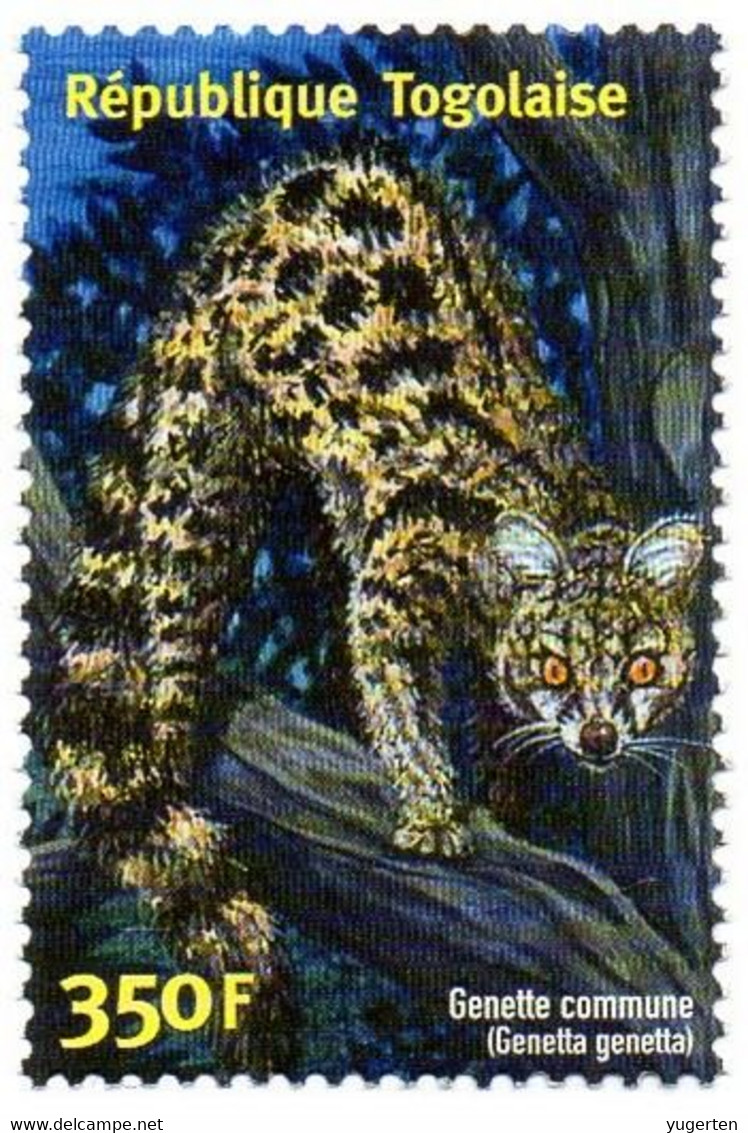 TOGO - 1v - MNH  Common Genet -  Genette Commune - Kleinfleck-Ginsterkatze -  Gineta, Jineta Mammals Animals Fauna - Otros & Sin Clasificación