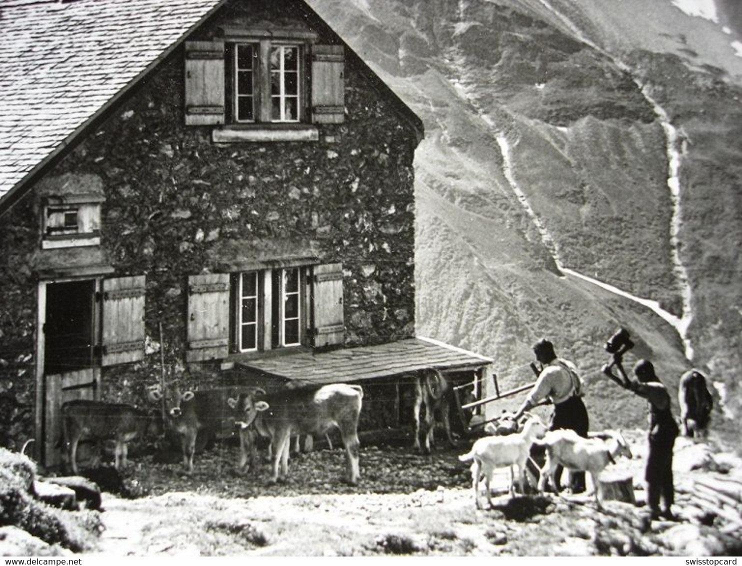 SILENEN Windgällenhütte Mit Oberalpstock - Silenen