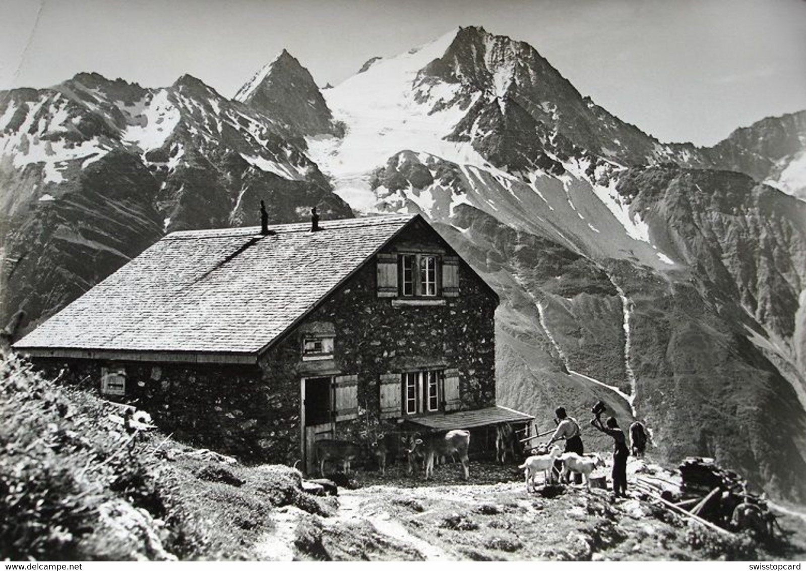 SILENEN Windgällenhütte Mit Oberalpstock - Silenen