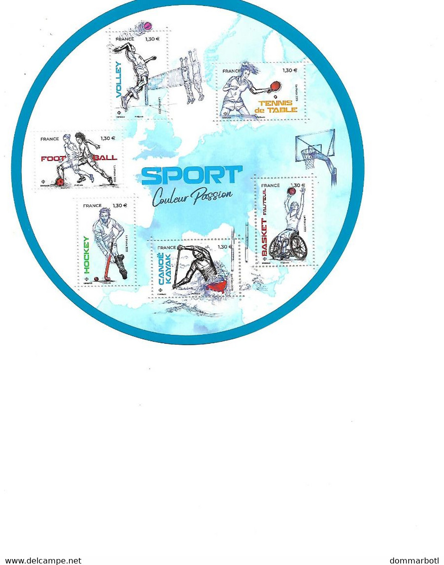 Sports, Football, Handi-sports Volley, Etc ... - Nuevos