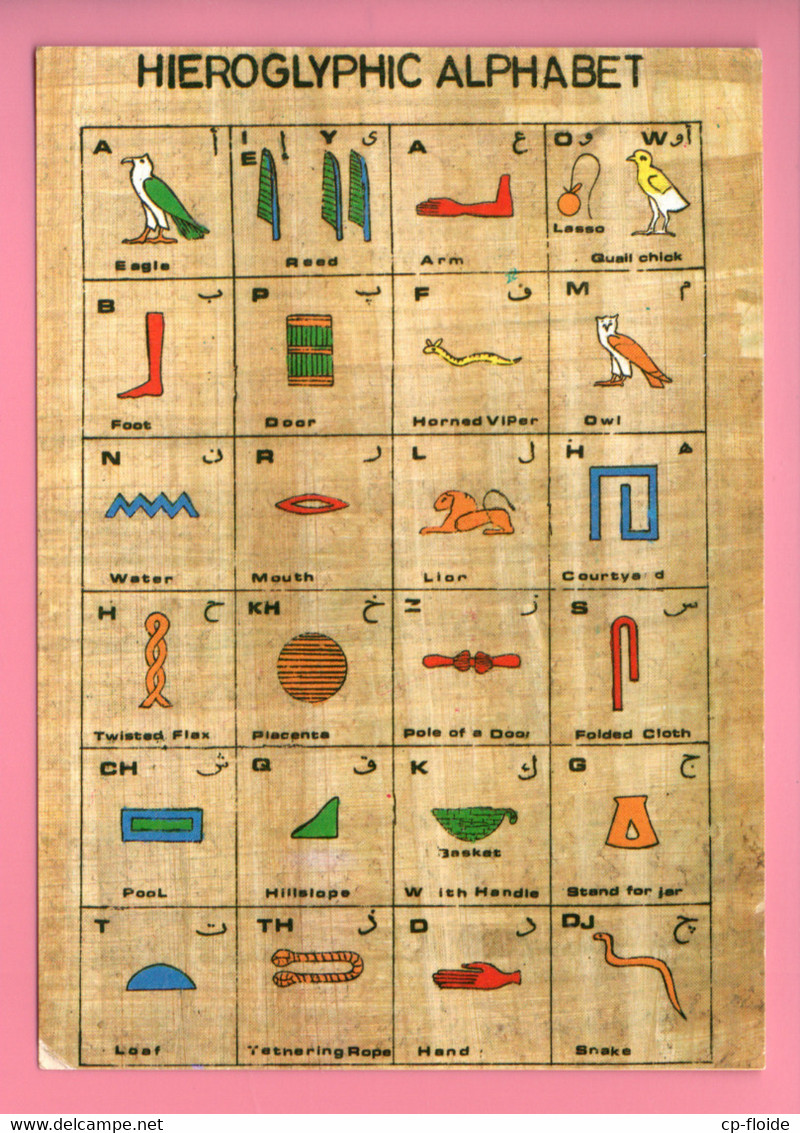 ÉGYPTE . HIEROGLYPHIC ALPHABET . PAPYRUS IN EGYPT - Réf. N°29118 - - Museos