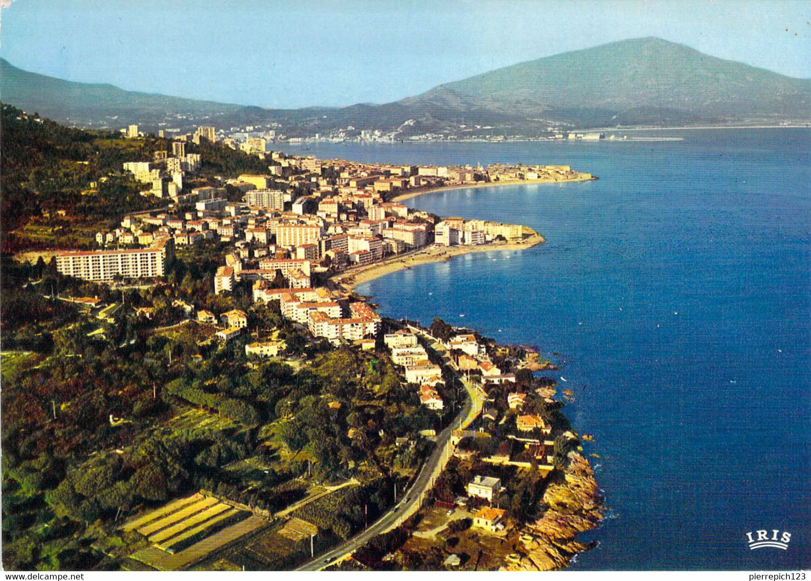 20 - 2A - Ajaccio - Le Boulevard Albert 1er Et Les Quartiers Parc Berthauld - Vue Aérienne - Ajaccio