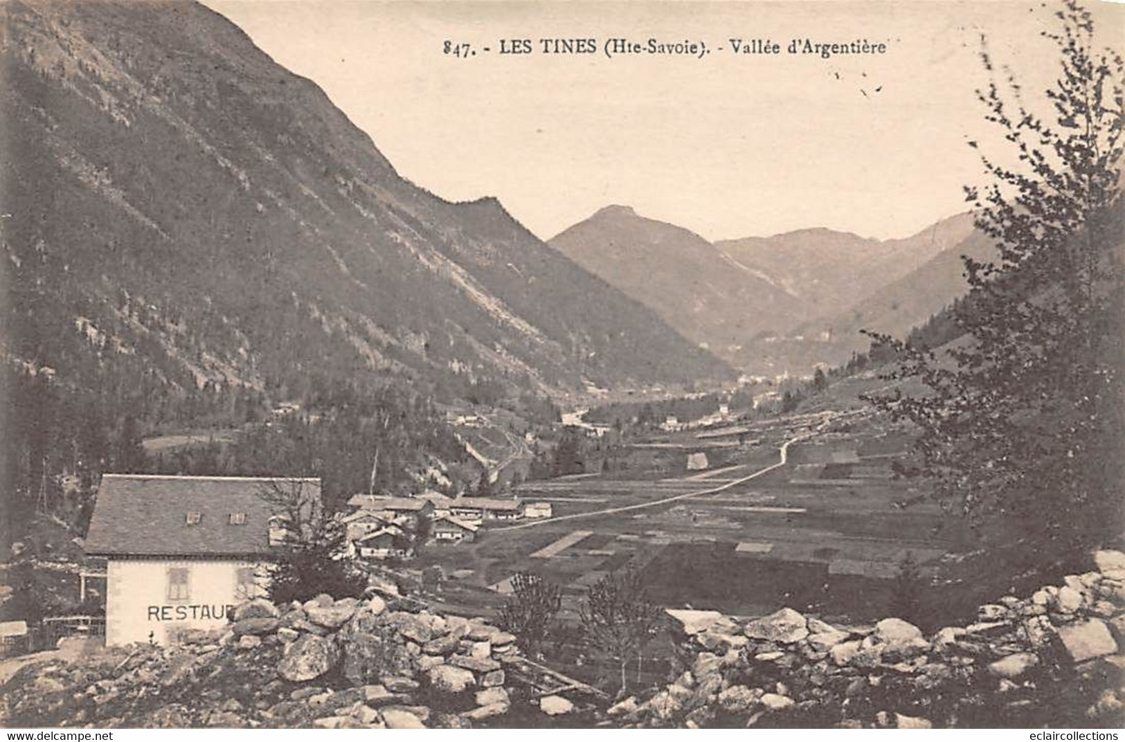 Les Tines            74          Vallée D' Argentière        N° 47    (voir Scan) - Sonstige & Ohne Zuordnung