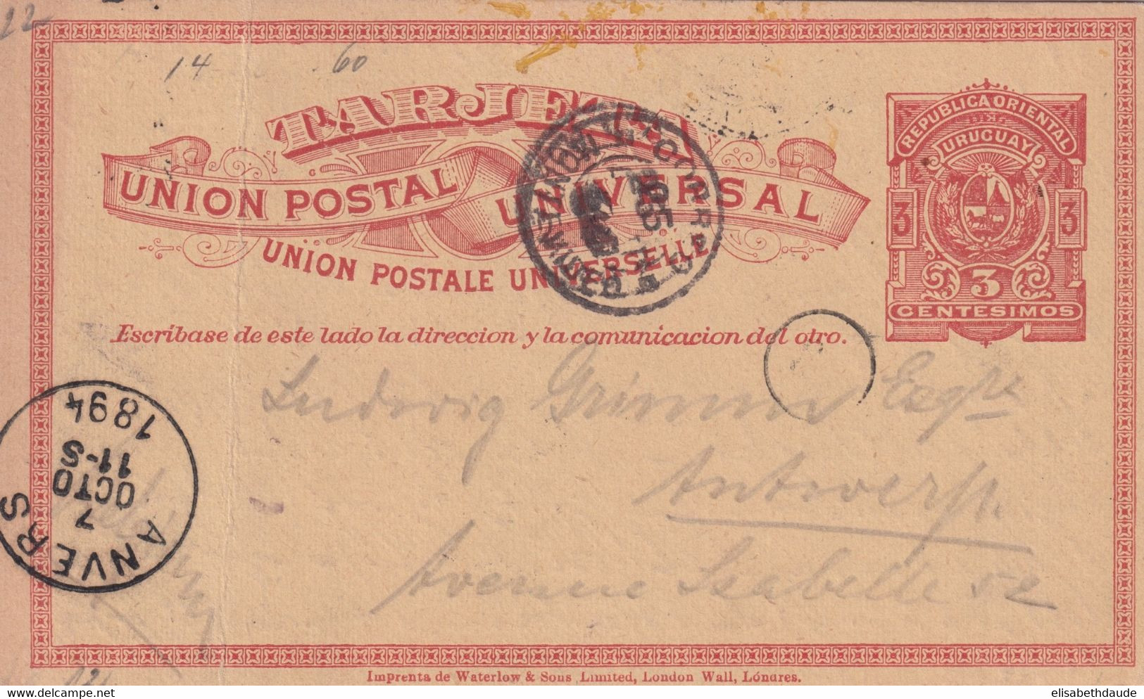 URUGUAY - 1894 - ENTIER POSTAL - CARTE De MONTEVIDEO => ANTWERPEN (BELGIQUE) - Uruguay