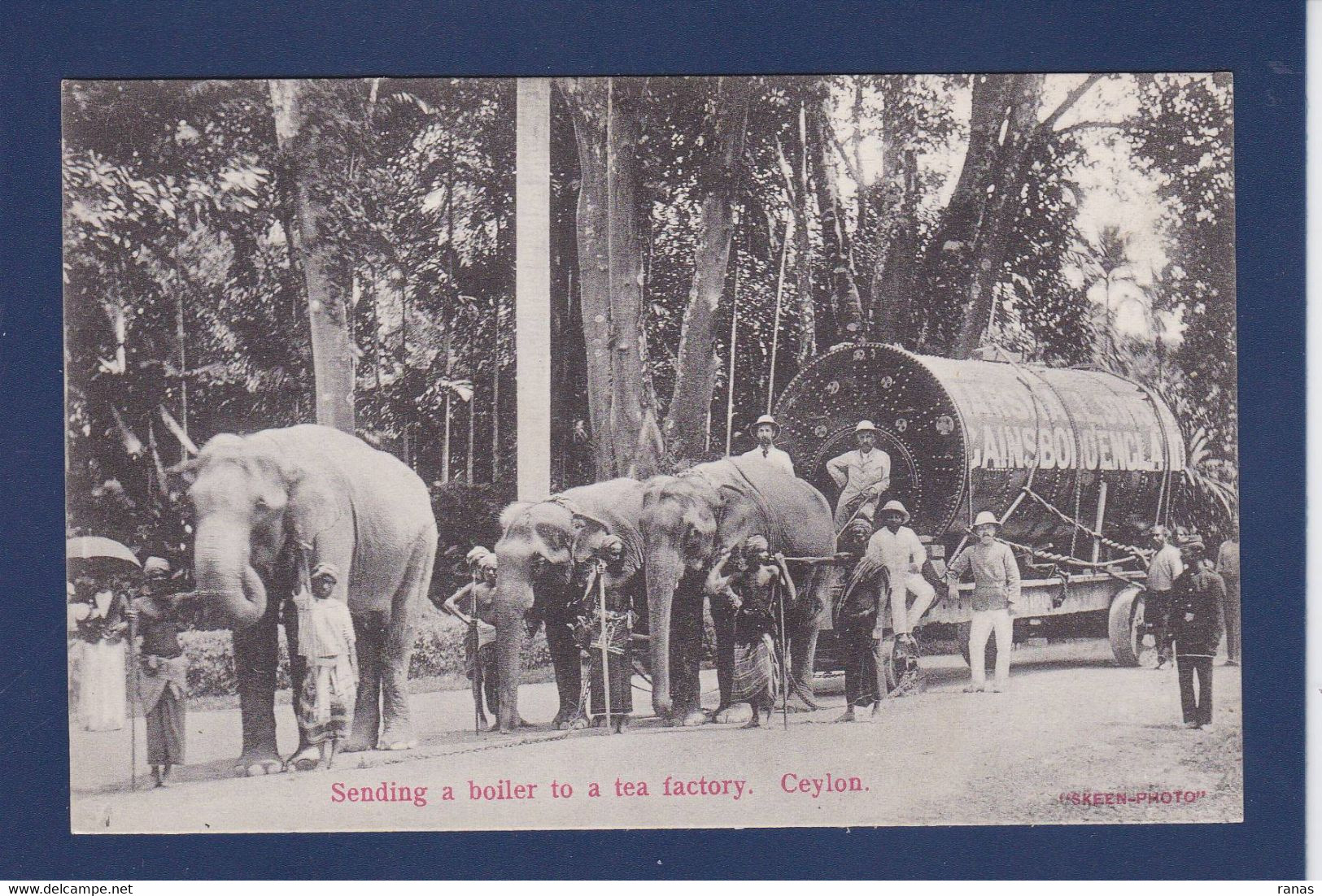 CPA CEYLAN Sri Lanka (Ceylon) éléphant Métier Non Circulé - Sri Lanka (Ceylon)