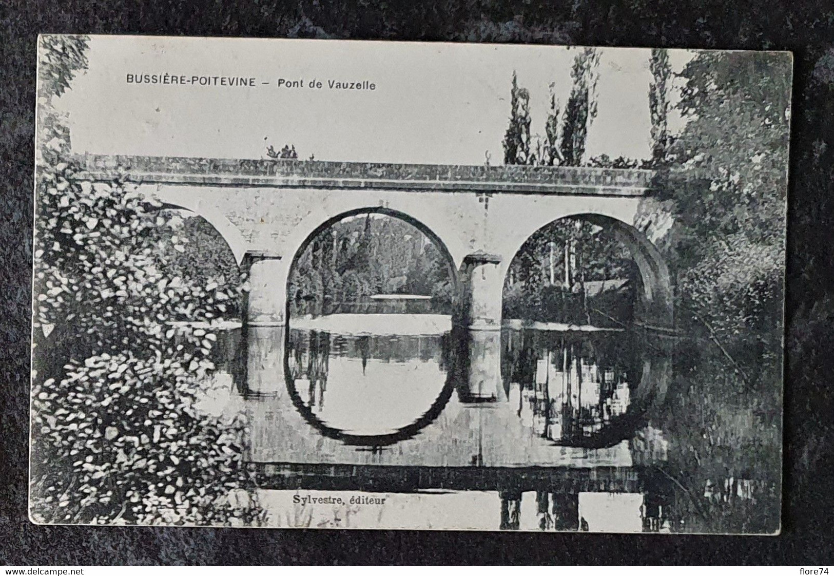 Haute-Vienne : L'Aiguille, Bellac, Ambazac, Solignac, Bussière, Châteauneuf-la-Forêt, Chateauponsac