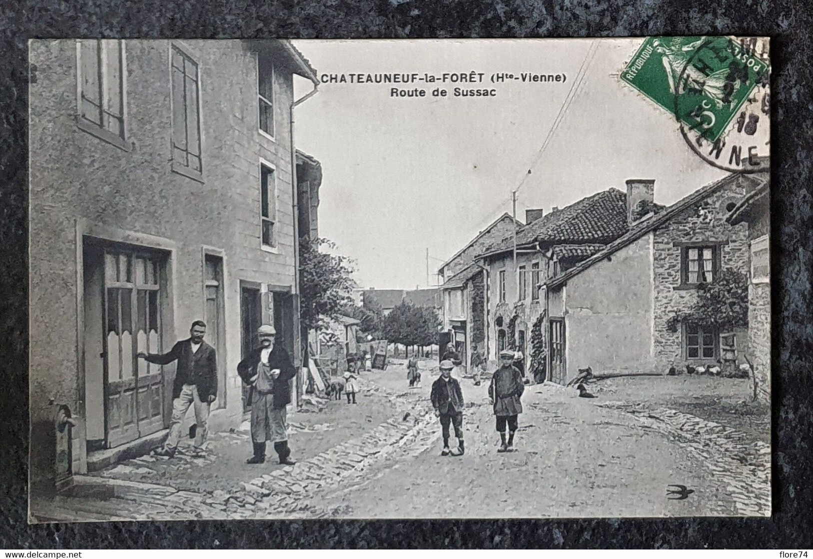 Haute-Vienne : L'Aiguille, Bellac, Ambazac, Solignac, Bussière, Châteauneuf-la-Forêt, Chateauponsac