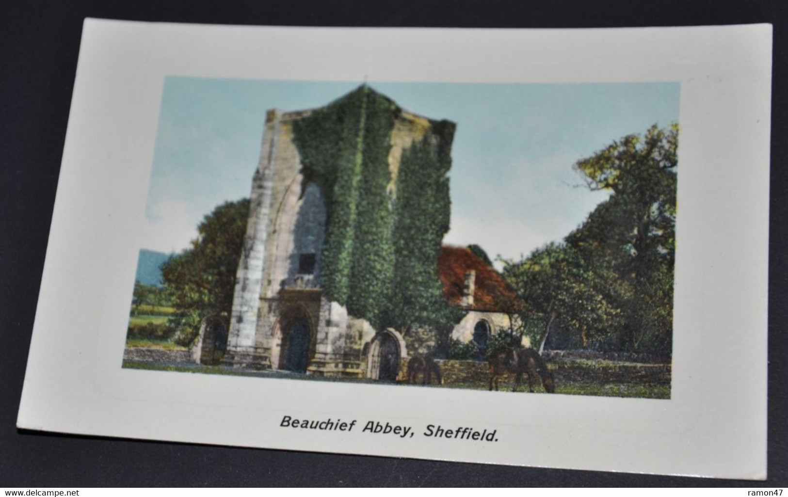 Beauchief Abbey, Sheffield - Sheffield