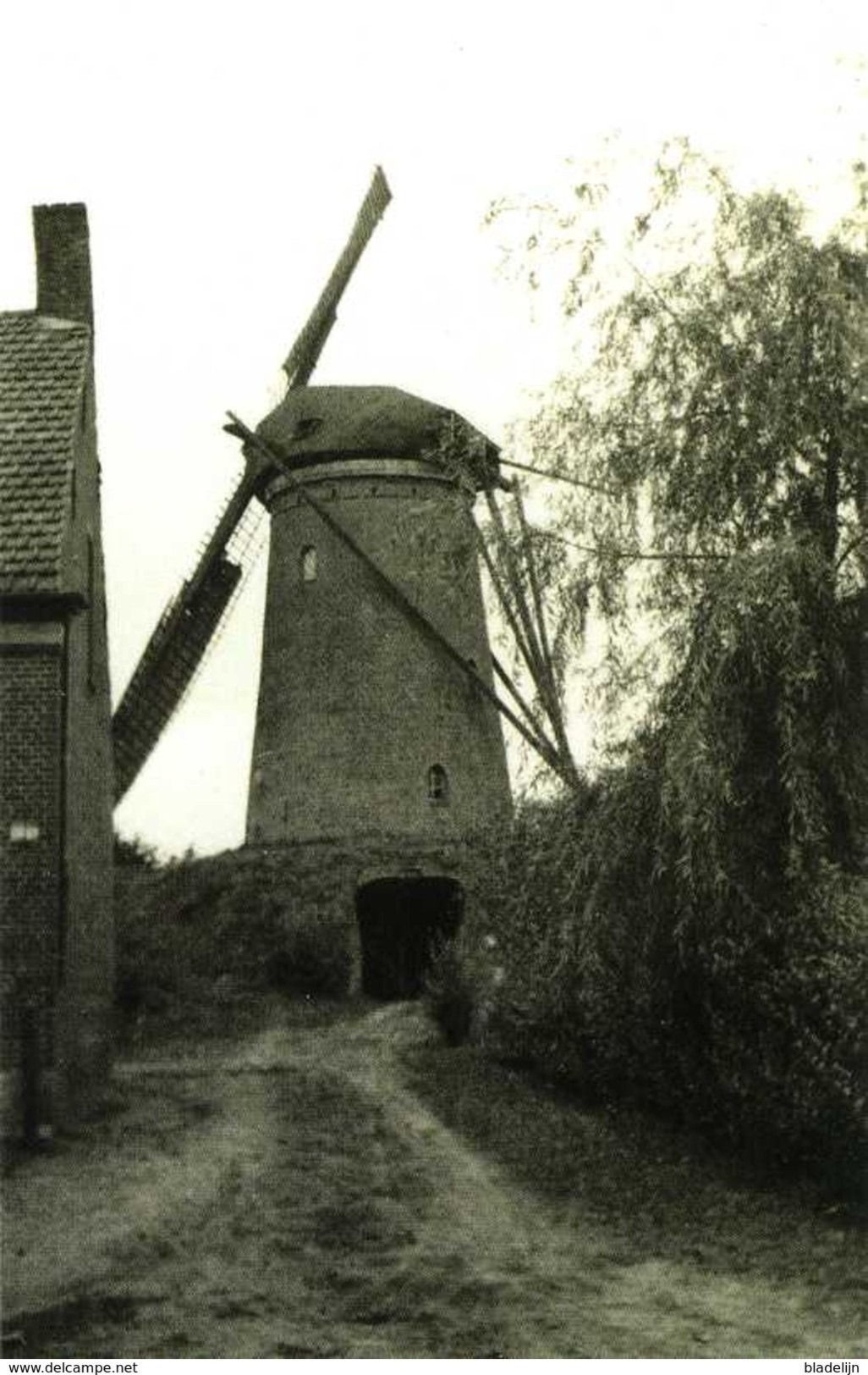 WOUWSE PLANTAGE - Roosendaal (N.Br.) - Molen/moulin - De Verdwenen Stenen Beltmolen In Werking Met Twee Wieken - Roosendaal