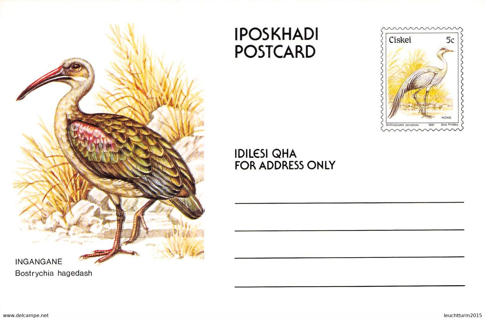 CISKEI - SET POSTCARDS 5c BIRDS MNH /QD119 - Ciskei