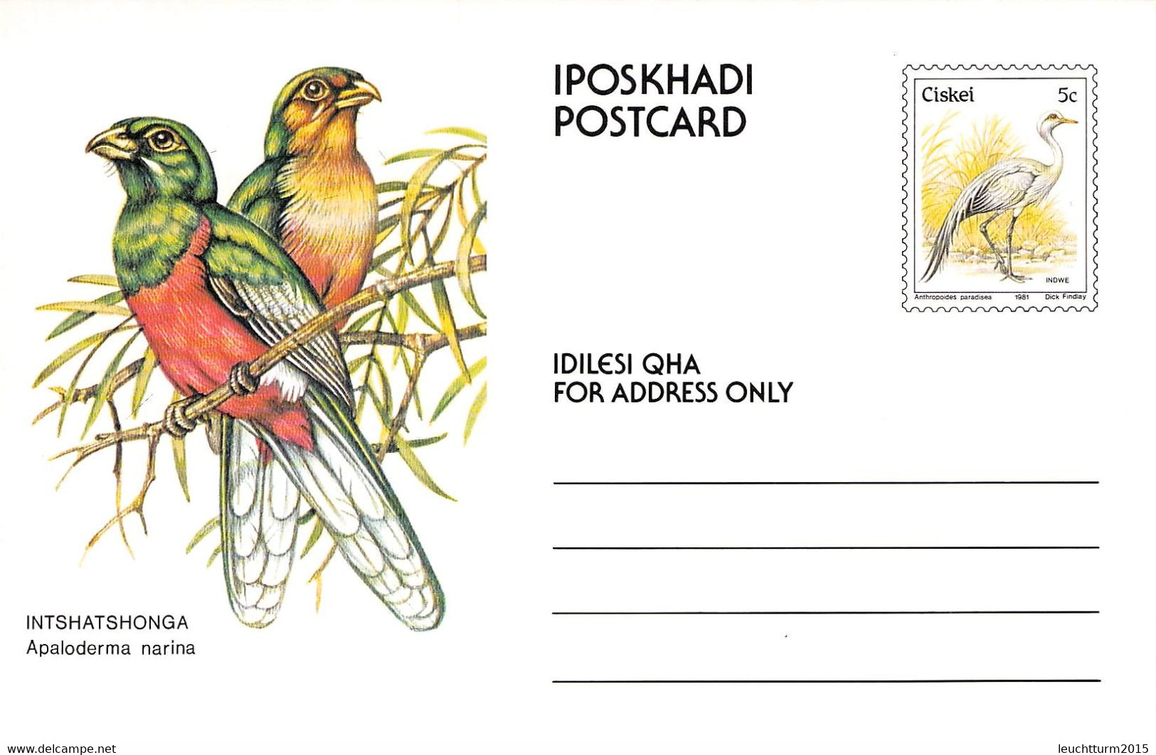 CISKEI - SET POSTCARDS 5c BIRDS MNH /QD119 - Ciskei