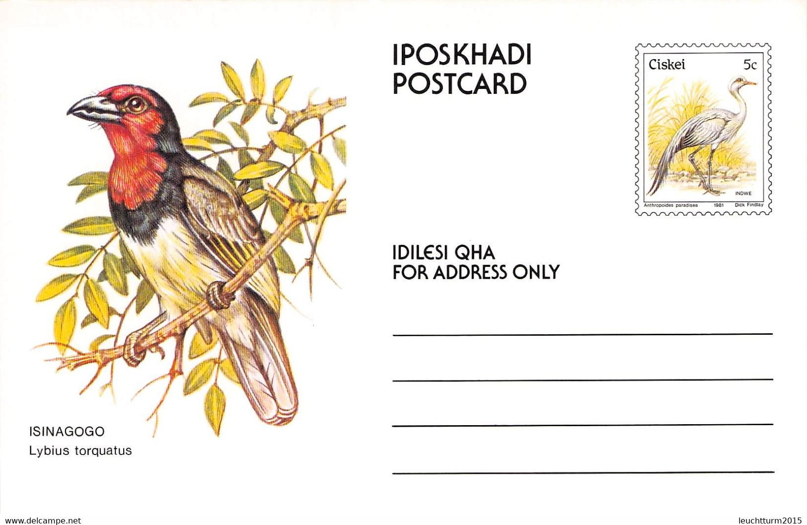 CISKEI - SET POSTCARDS 5c BIRDS MNH /QD119 - Ciskei