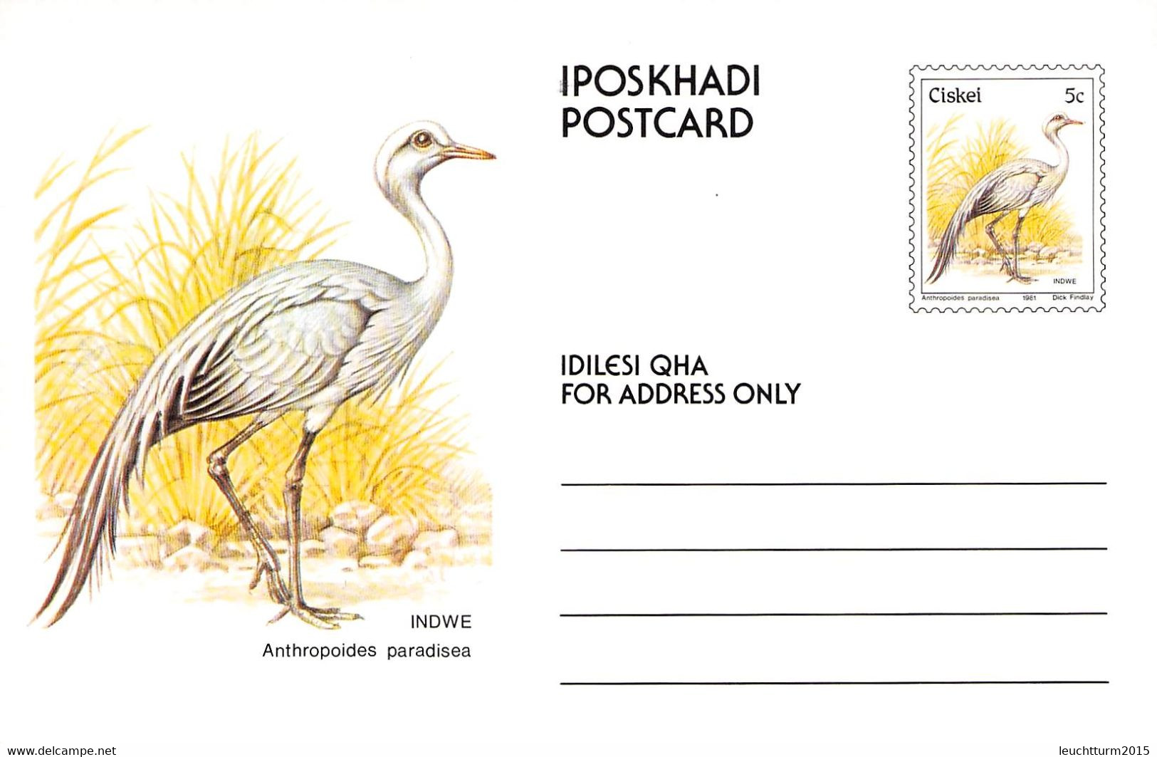 CISKEI - SET POSTCARDS 5c BIRDS MNH /QD119 - Ciskei