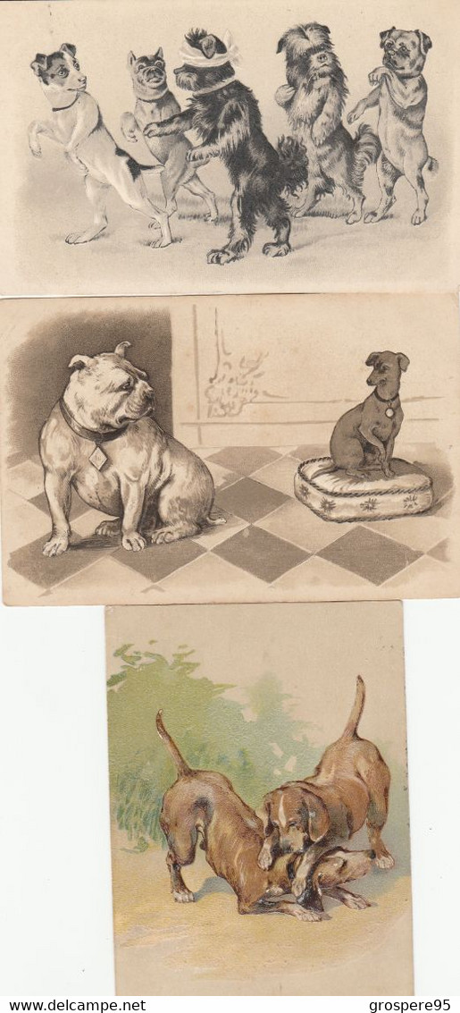 CHIENS GAUFFREES LOT 3 CARTES - Honden