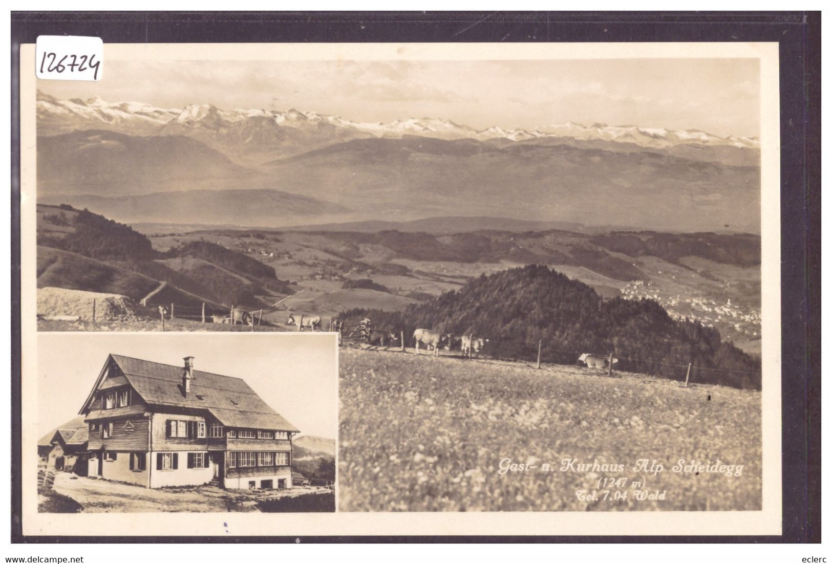 WALD - GASTHAUS ALP SCHEIDEGG - TB - Egg