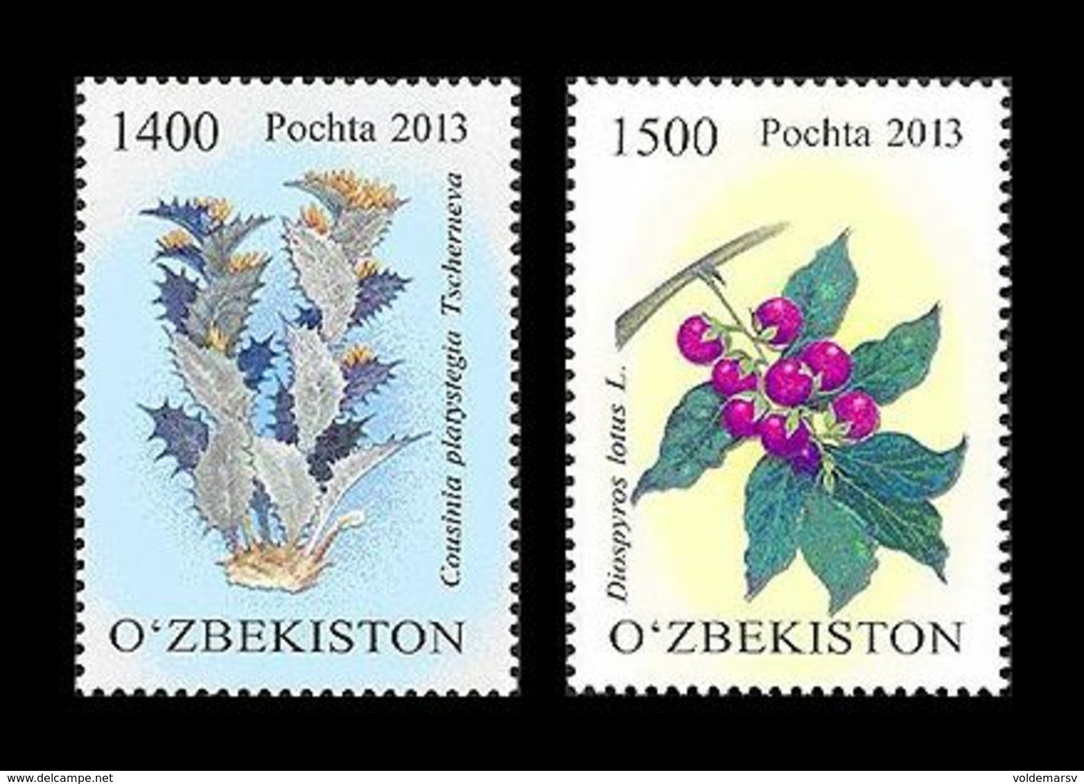 Uzbekistan 2013 Mih. 1062/63 Flora. Protected Plants. Cousinia Platystegia And Date-plum MNH ** - Uzbekistan