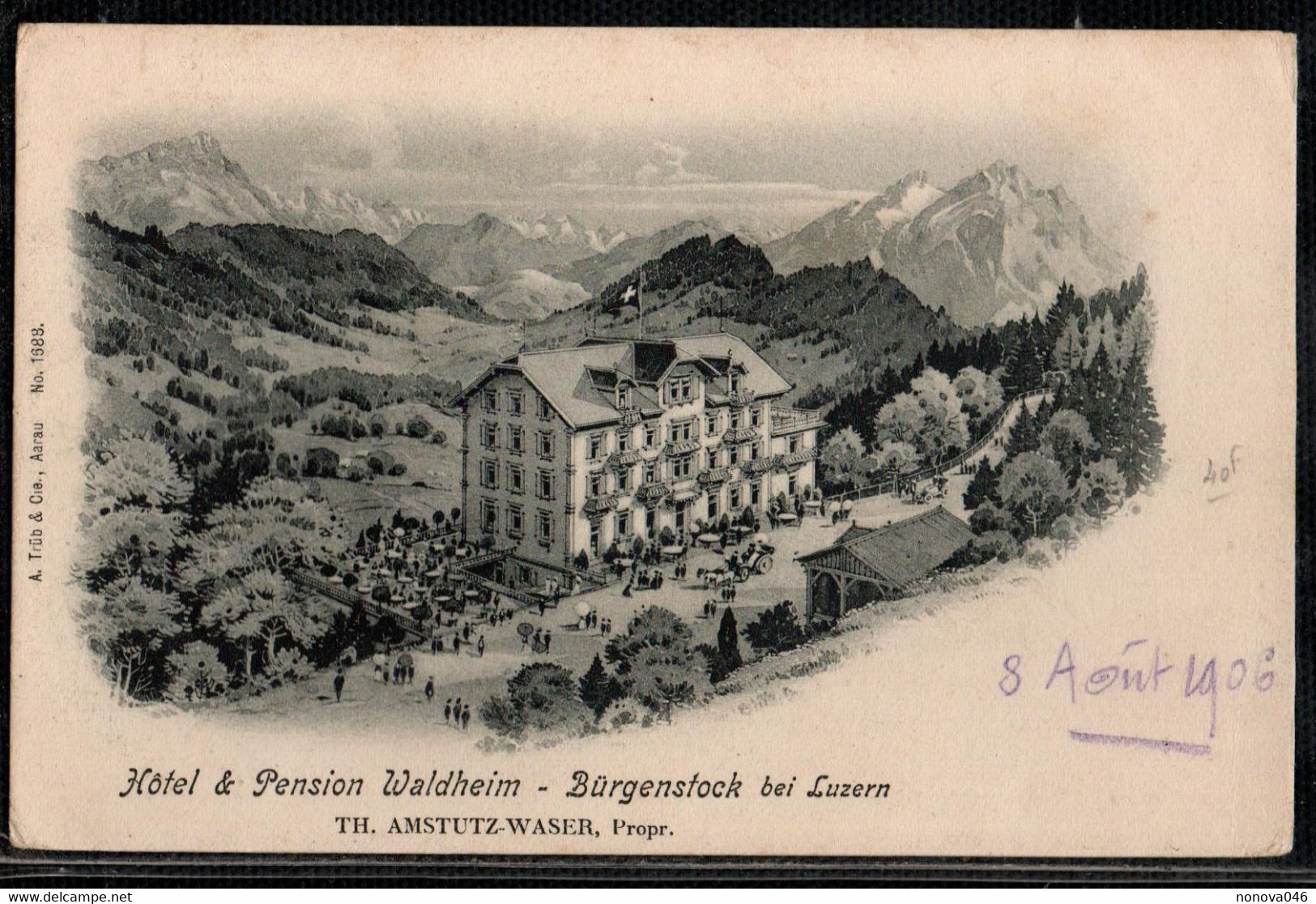 HOTEL ET PENSION WALDHEIM BURGENSTOCK BEI LUZERN - Luzern