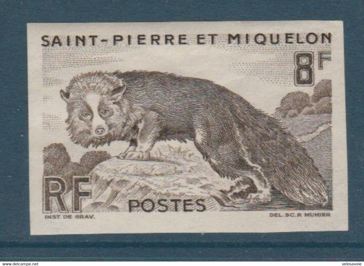 ST PIERRE N° 345 RENARD NON DENTELE ** - Non Dentelés, épreuves & Variétés