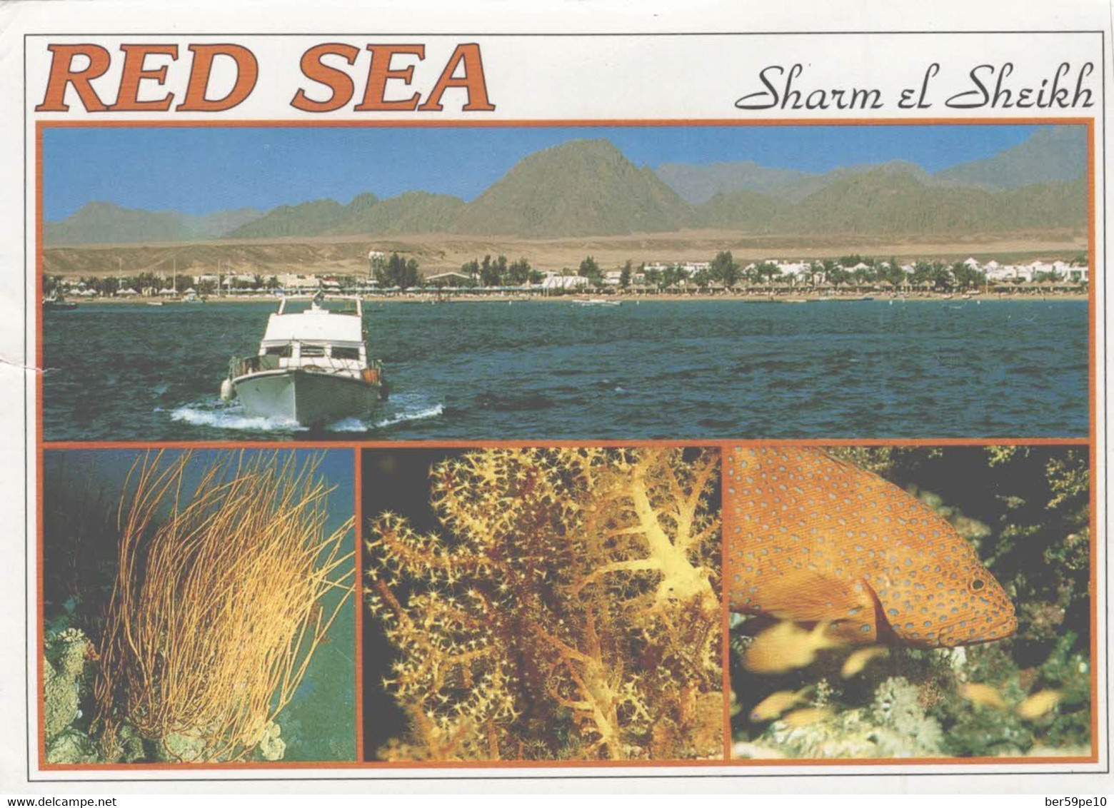 EGYPTE RED SEA SHARM EL SHEIKH MULTI-VUES - Sharm El Sheikh