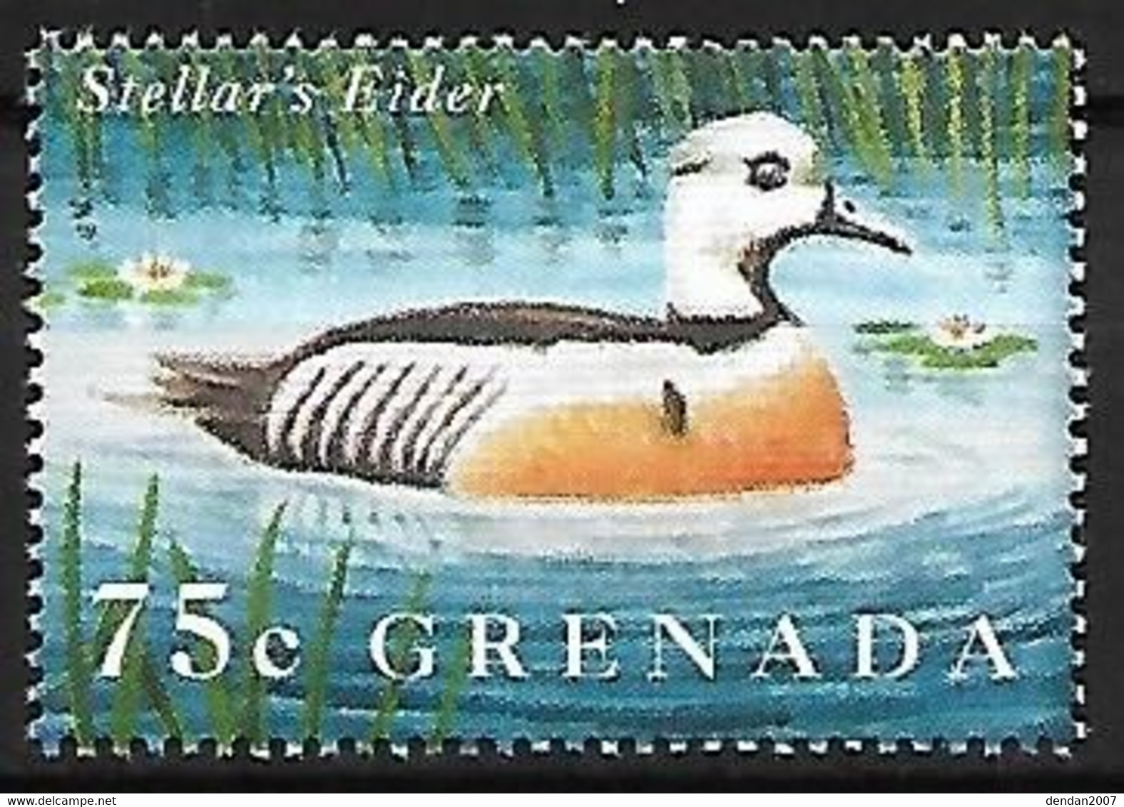 Grenada - MNH ** 1995 :    Steller's Eider    Polysticta Stelleri - Gansos