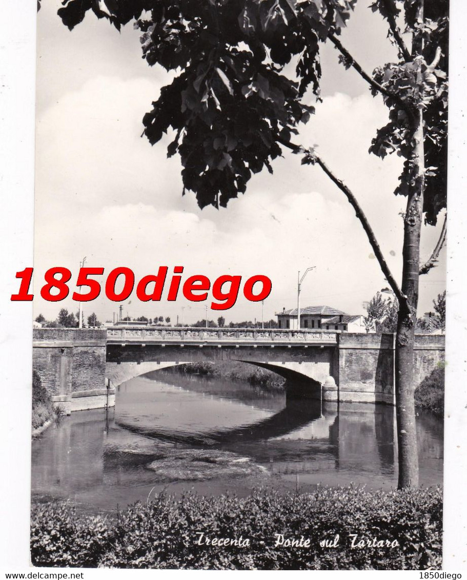 TRECENTA - PONTE SUL TARTARO F/GRANDE VIAGGIATA 1957 - Rovigo