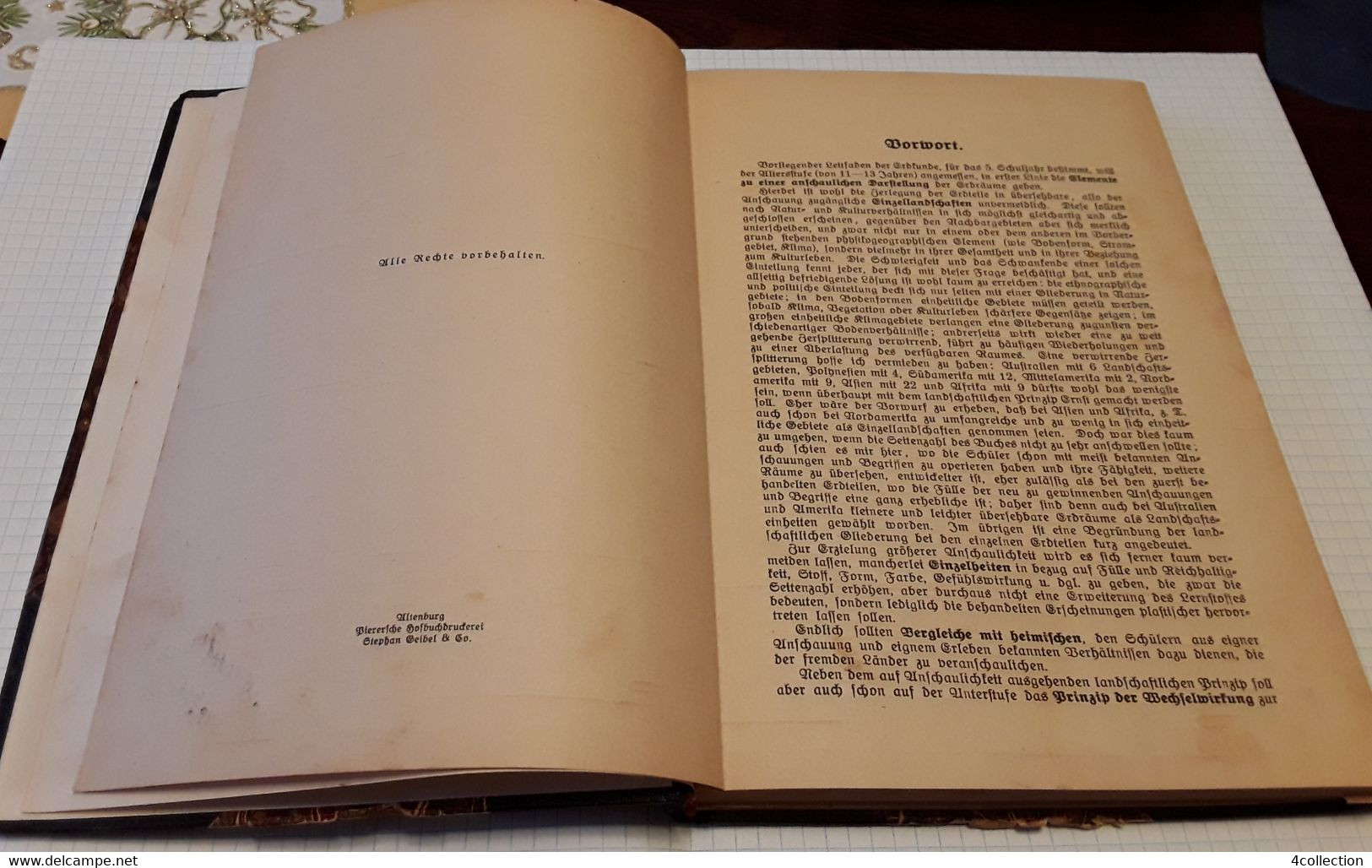 Old German Illustrated Book By Blum Guide Leitfaden Der Grdsunde Fur Grundschulen Textbook 1923 - Schulbücher