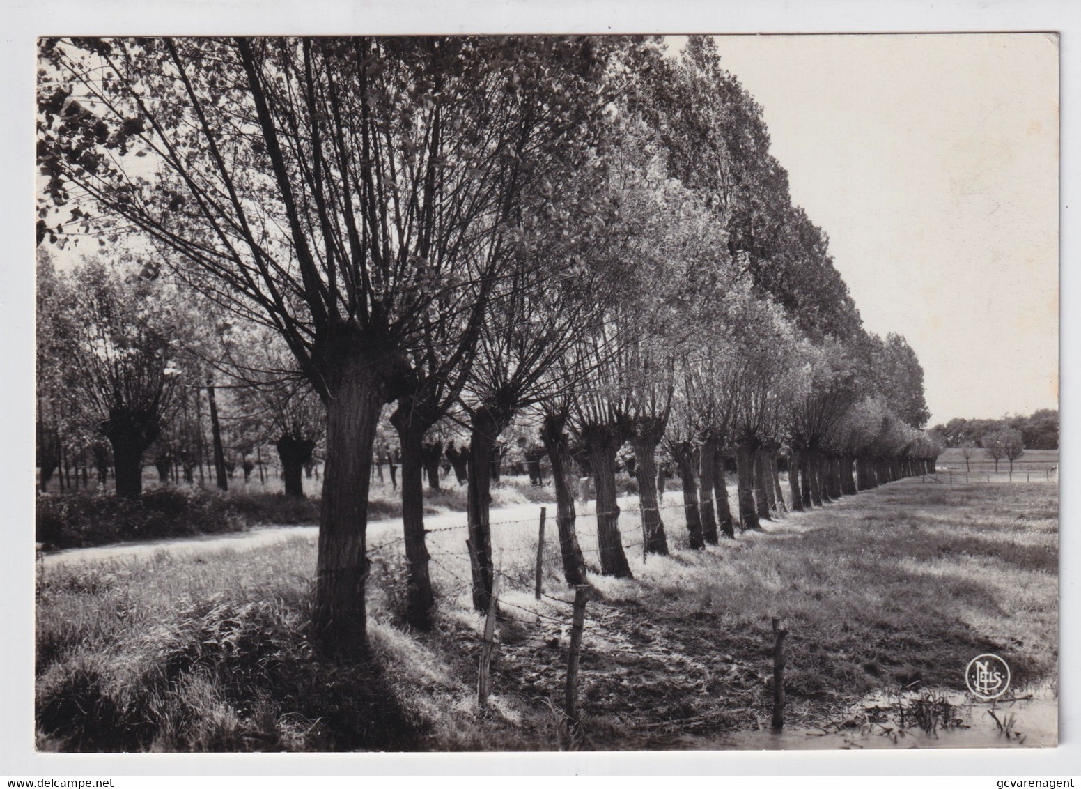 SINT MARTENS LATEM   WEIDEN IN DE LEIE VALLEI    FOTOKAART - Sint-Martens-Latem