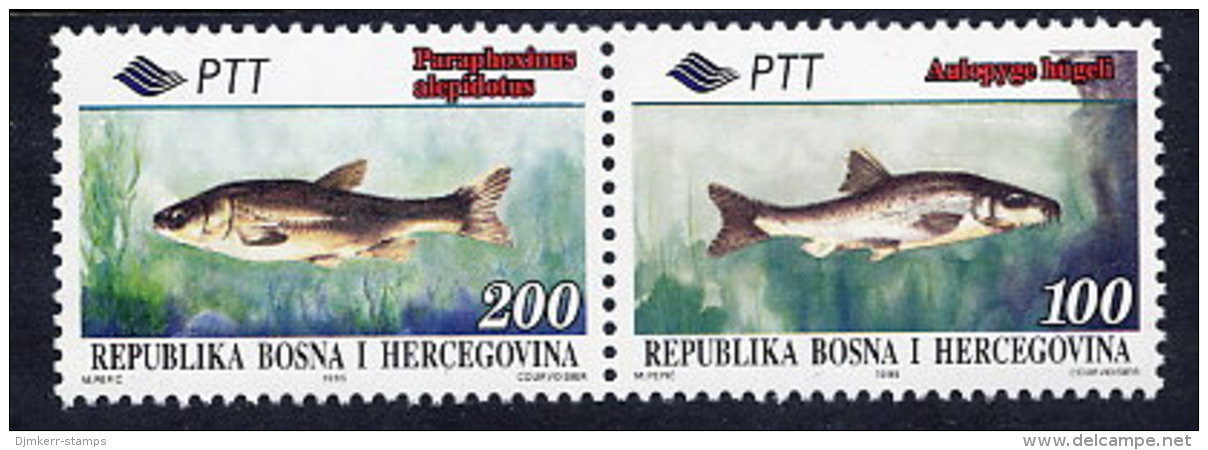 BOSNIA & HERCEGOVINA (Sarajevo) 1995 Fish Pair MNH / **.  Michel 30-31 - Bosnië En Herzegovina
